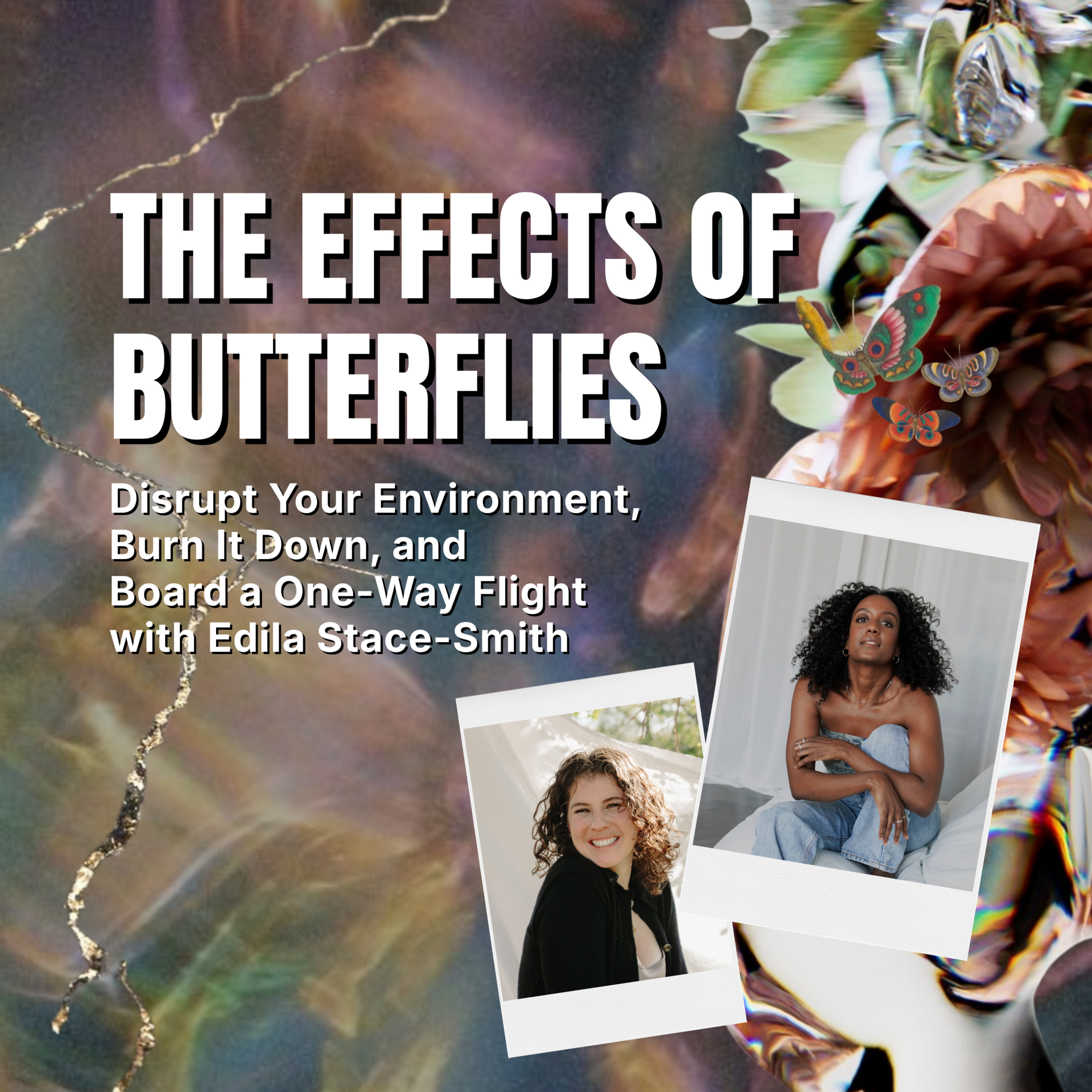 The Effects of Butterflies