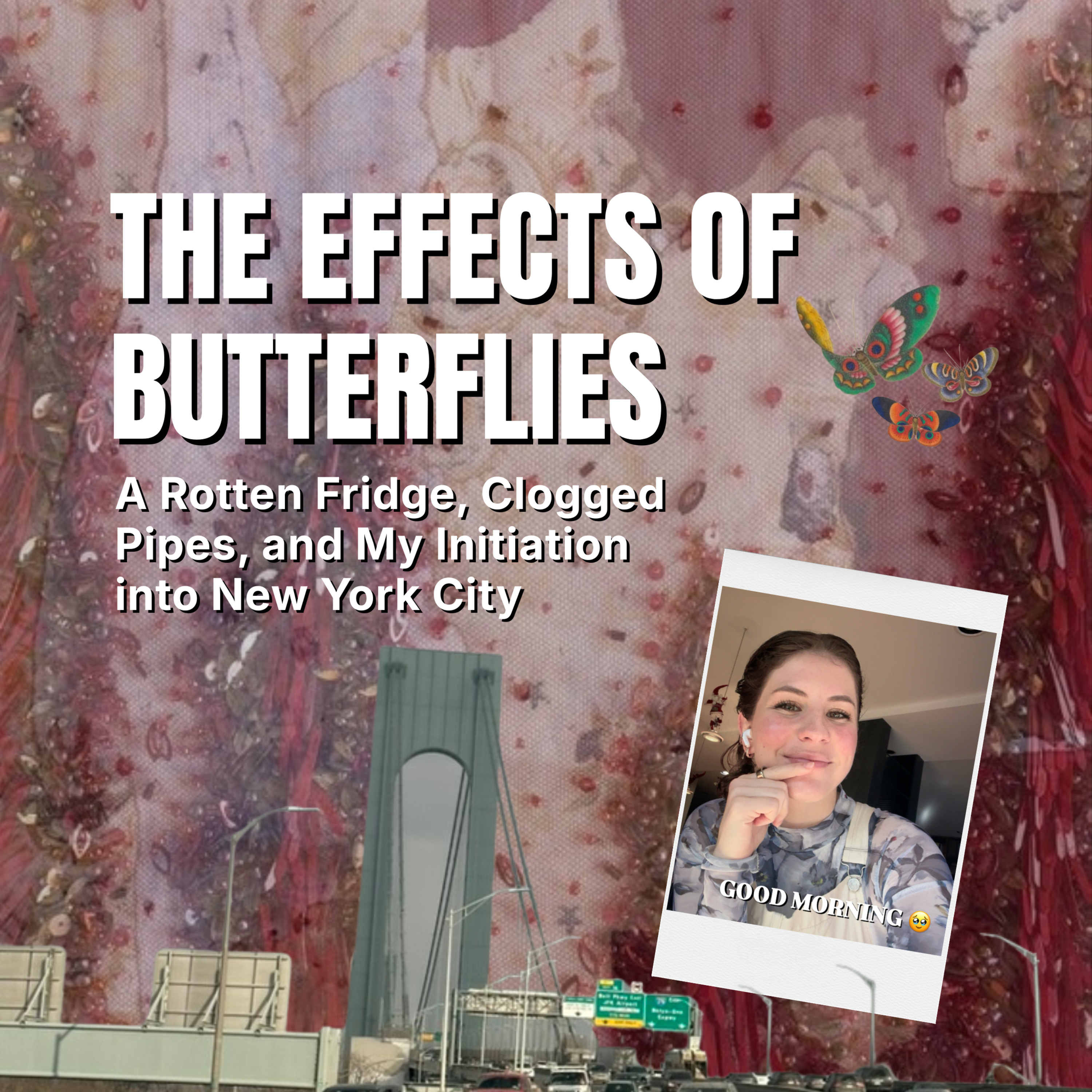 The Effects of Butterflies