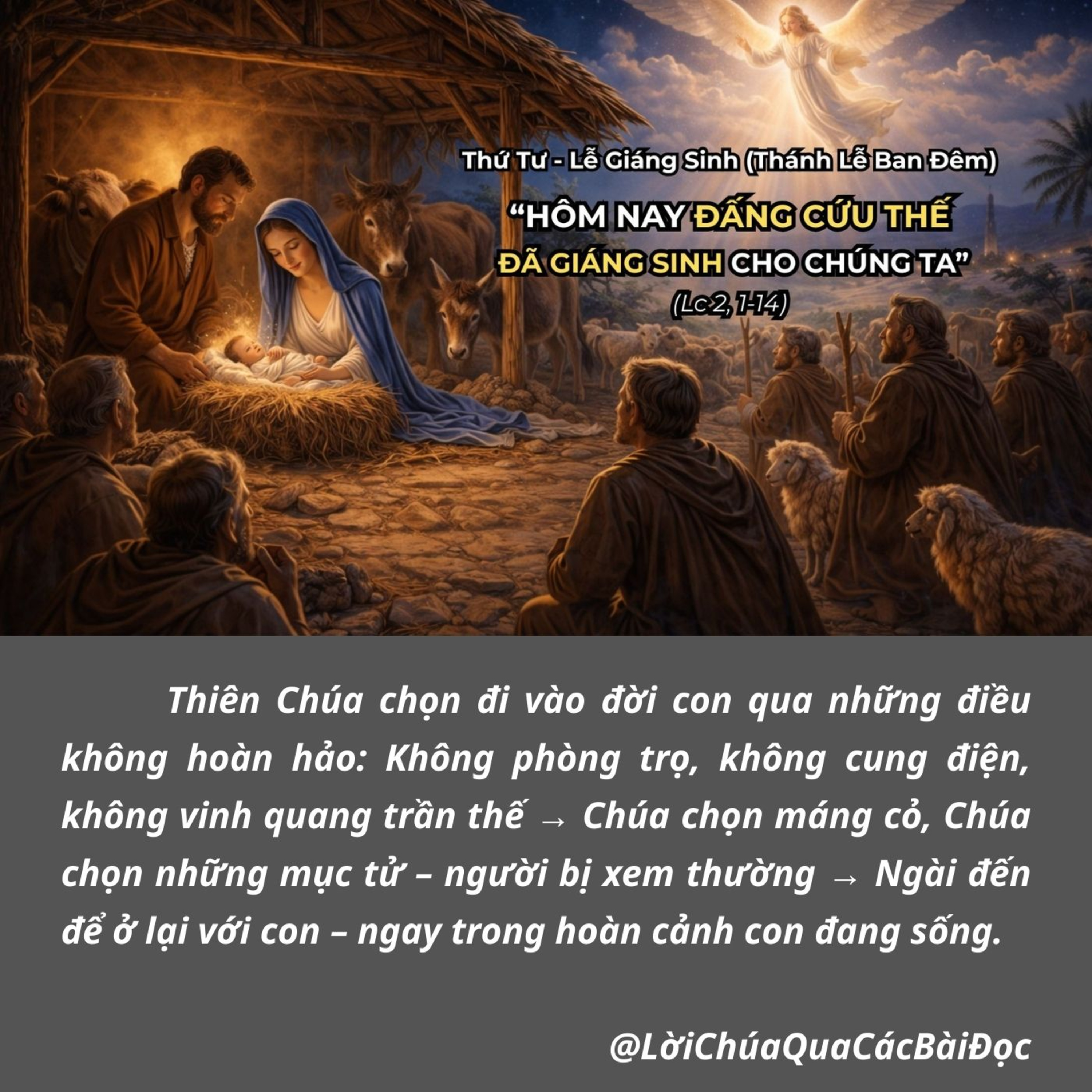 [24/12/2025] Lời Chúa Thứ Tư – Thánh Lễ Đêm Giáng Sinh  episode artwork
