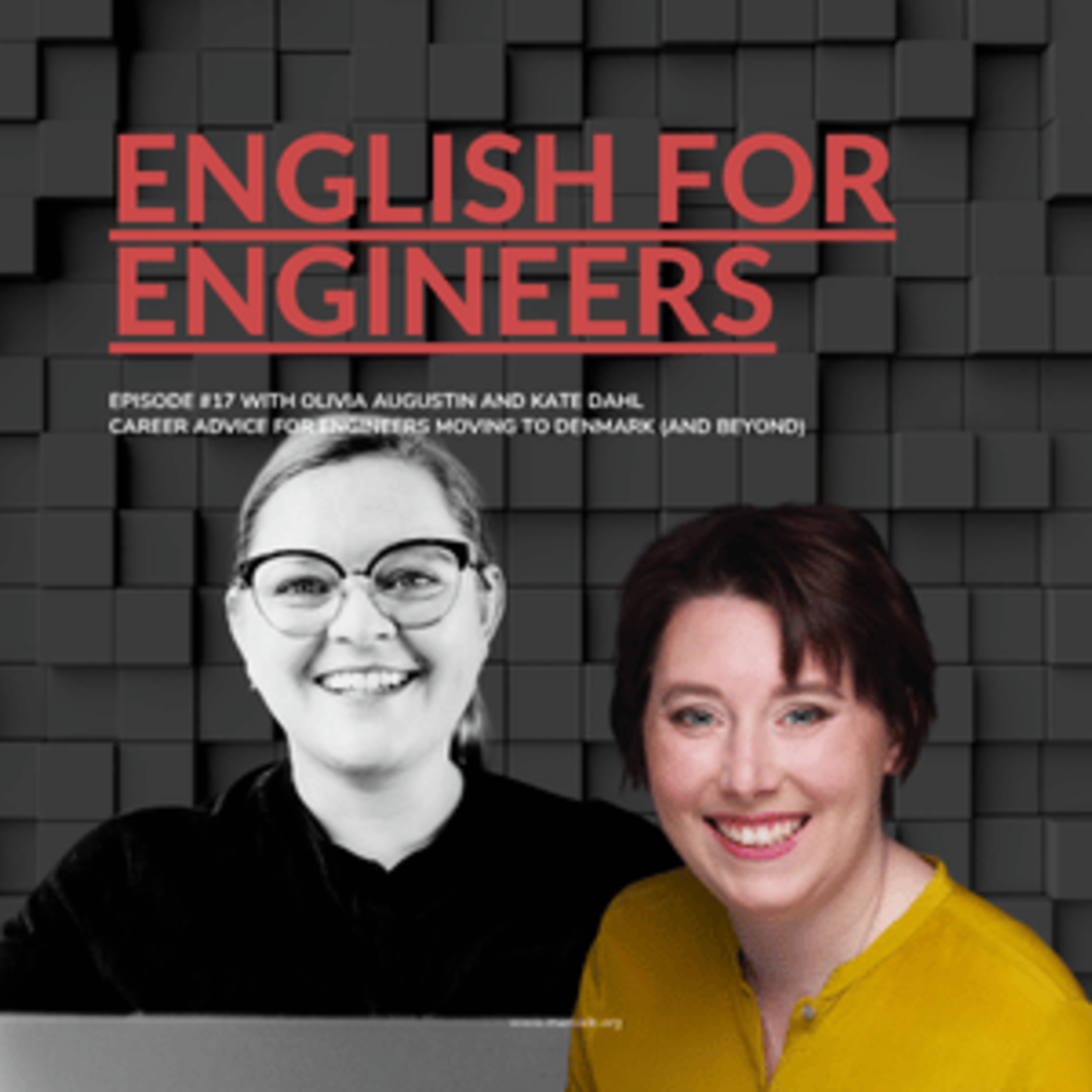Career Advice for Engineers Moving to Denmark (and Beyond)