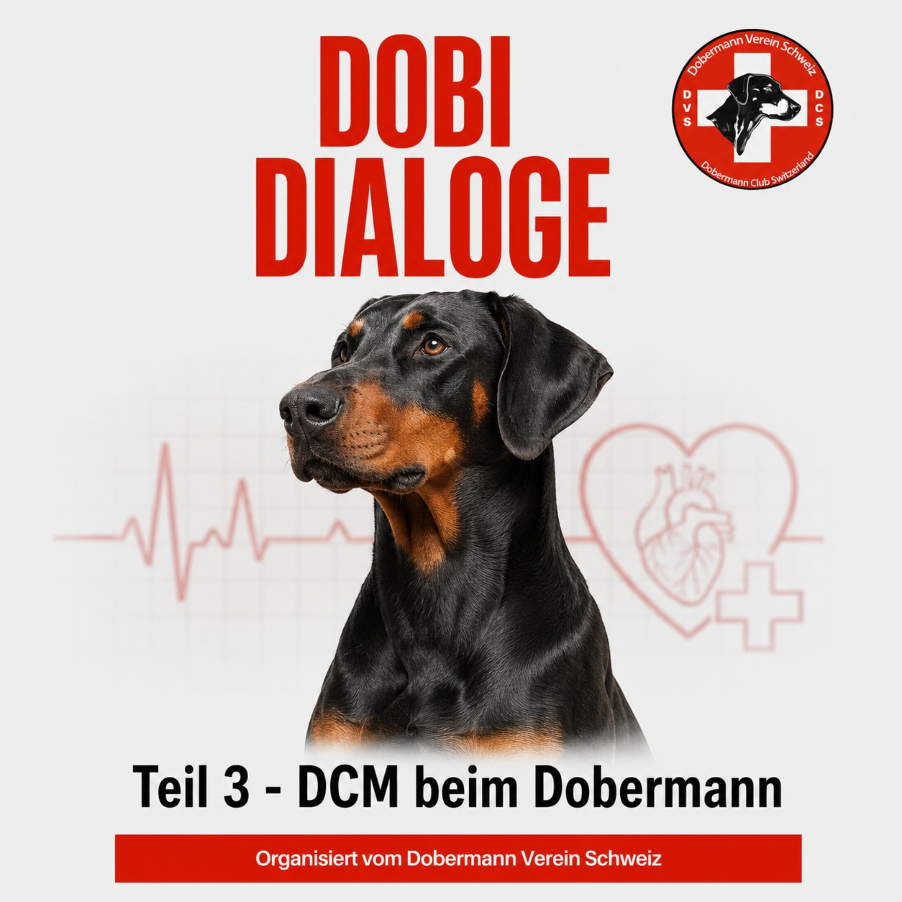 Teil 3 - DCM beim Dobermann episode artwork