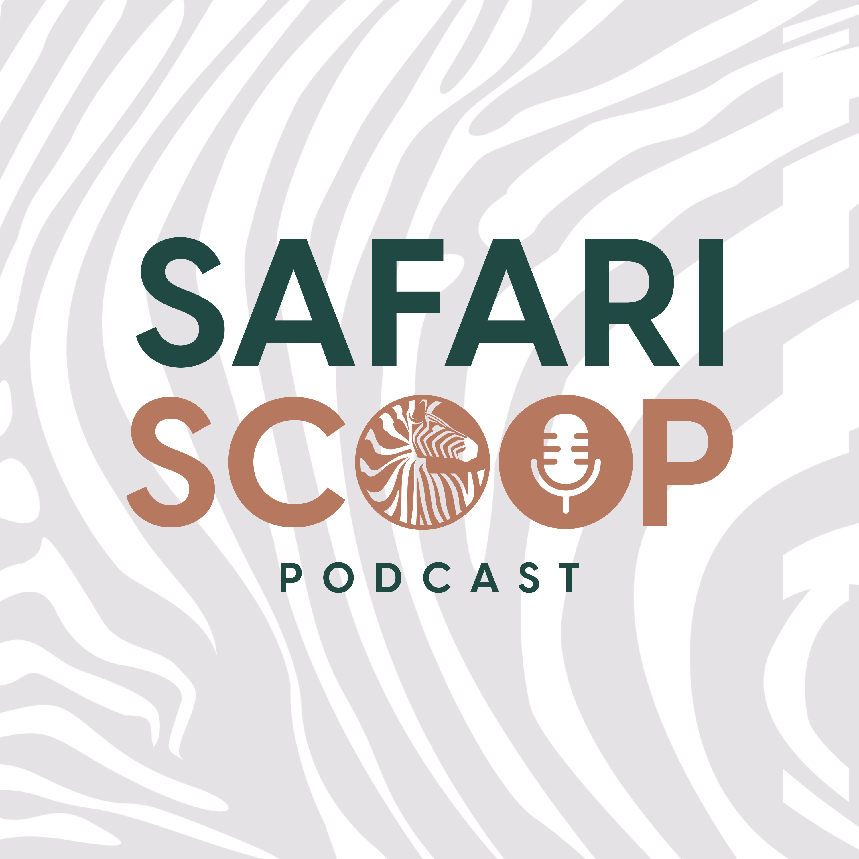 Safari Scoop: Your window into the heart of Africa