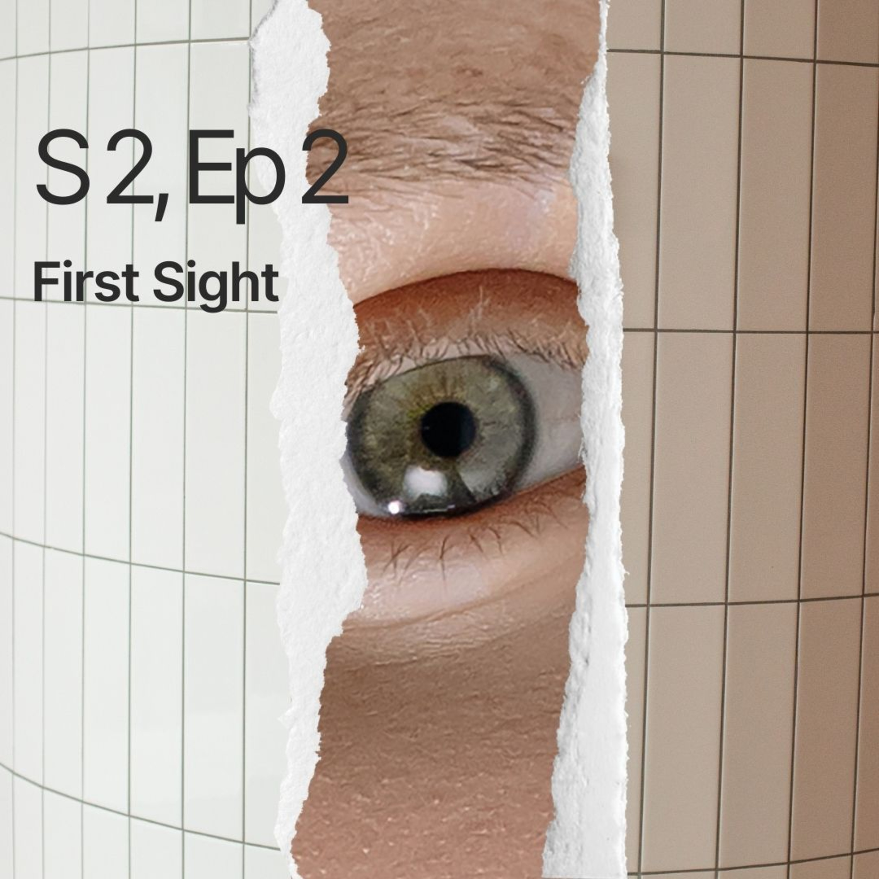 First Sight episode artwork