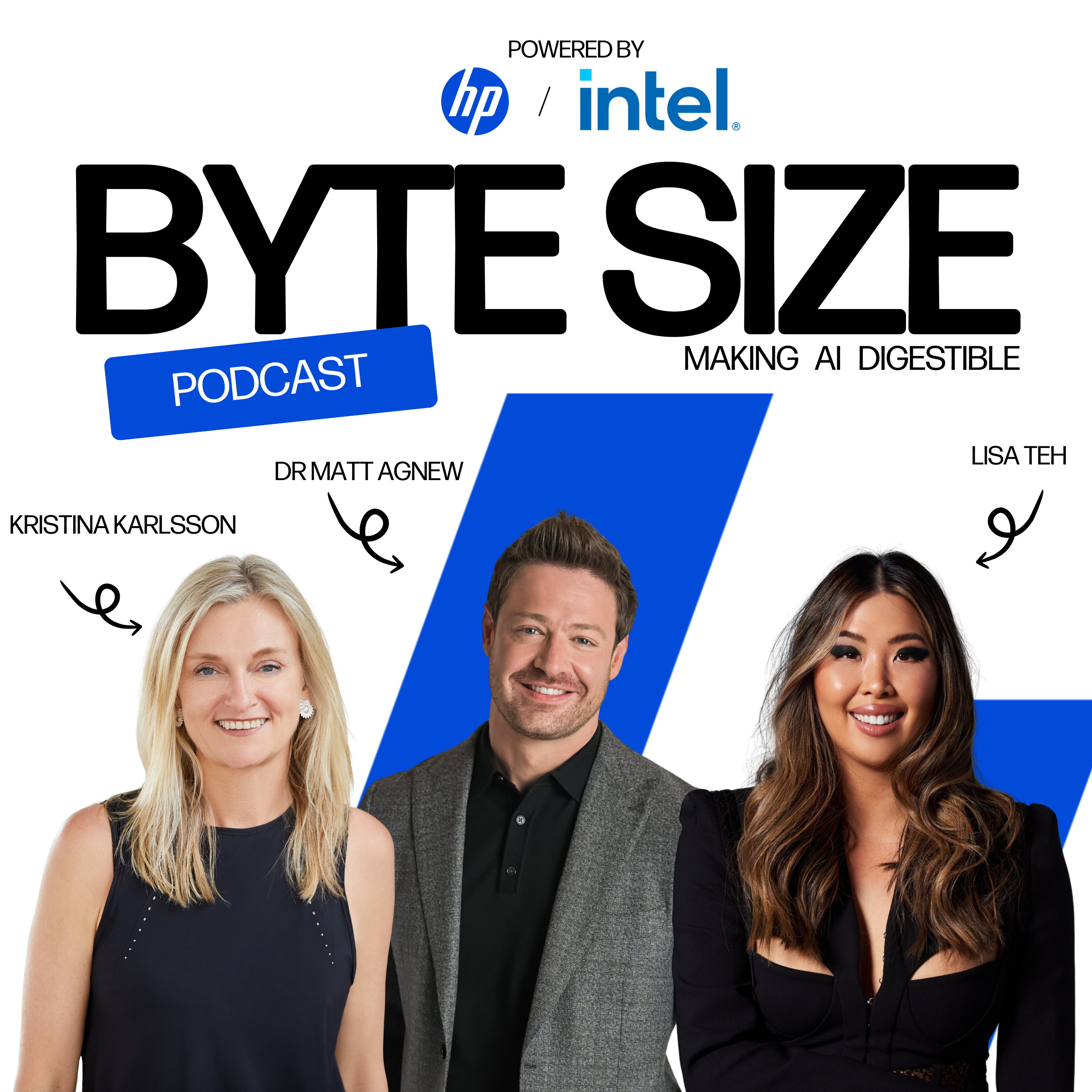 Inside the small business AI boom What's happening now and what's next + Interview with Kristina Karlsson episode artwork