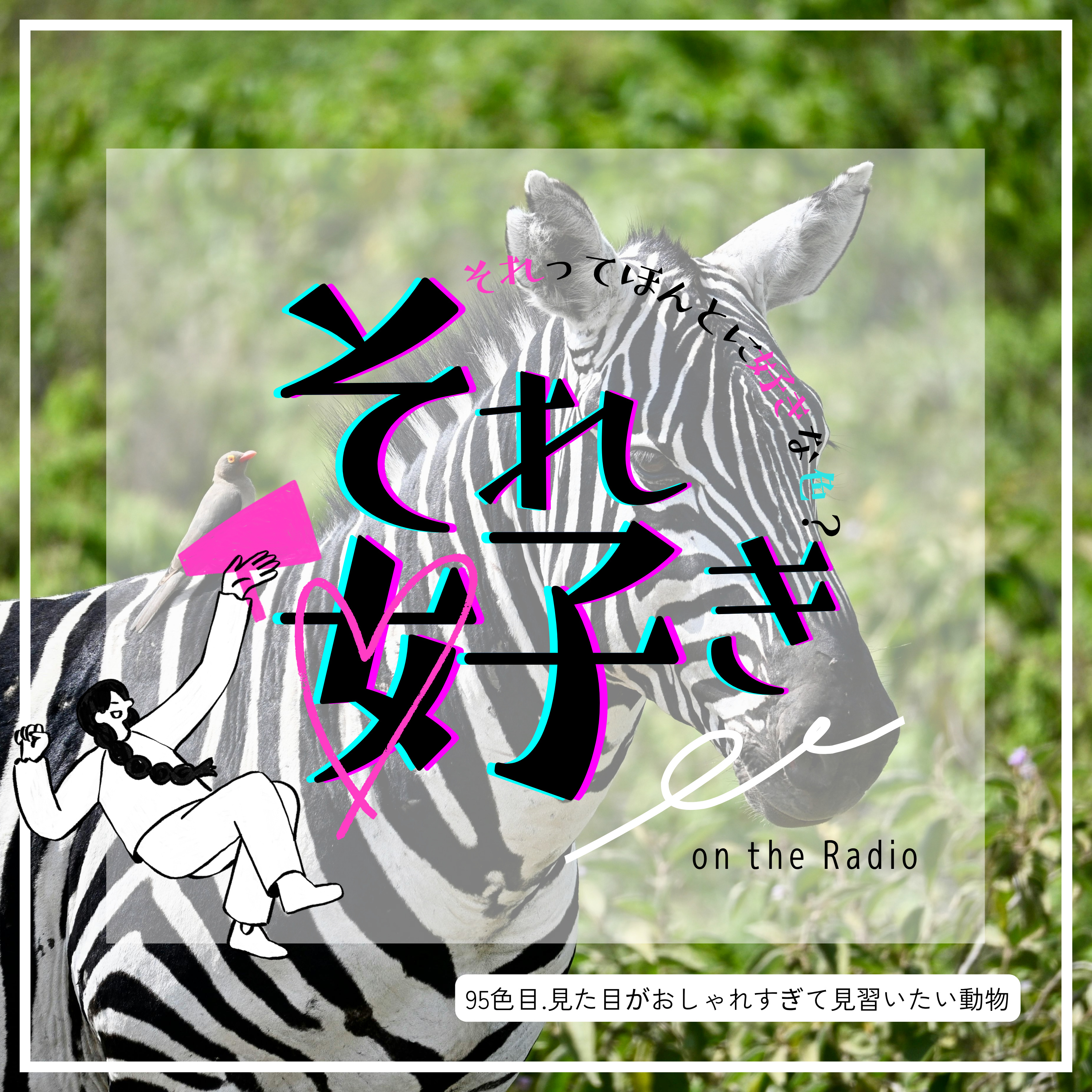 95色目.見た目がおしゃれすぎて見習いたい動物 episode artwork