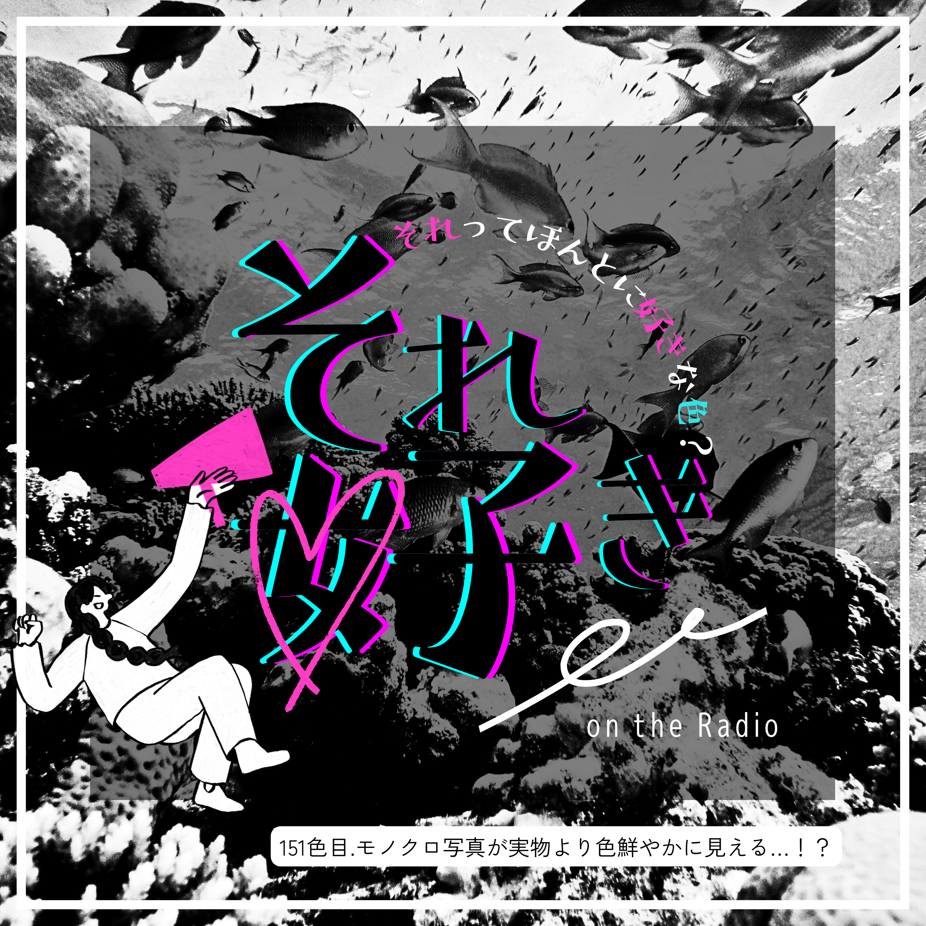 151色目.モノクロ写真が実物より色鮮やかに見える…！？ episode artwork