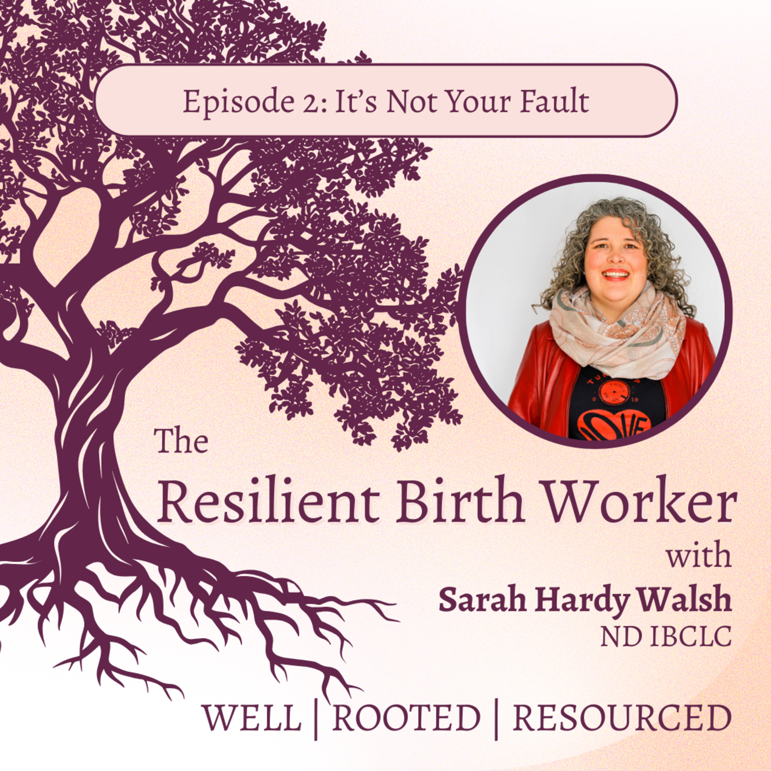 The Resilient Birth Worker