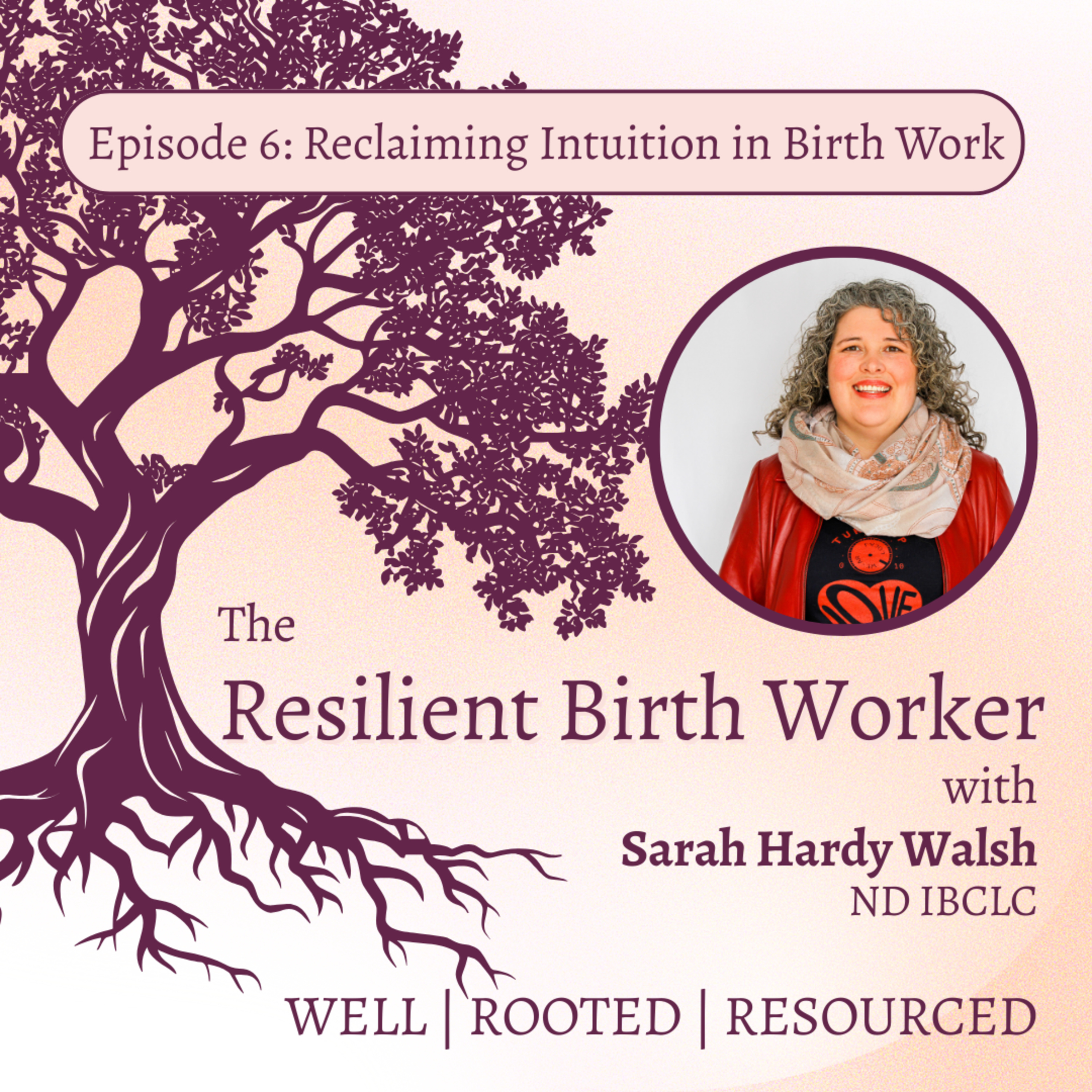 The Resilient Birth Worker
