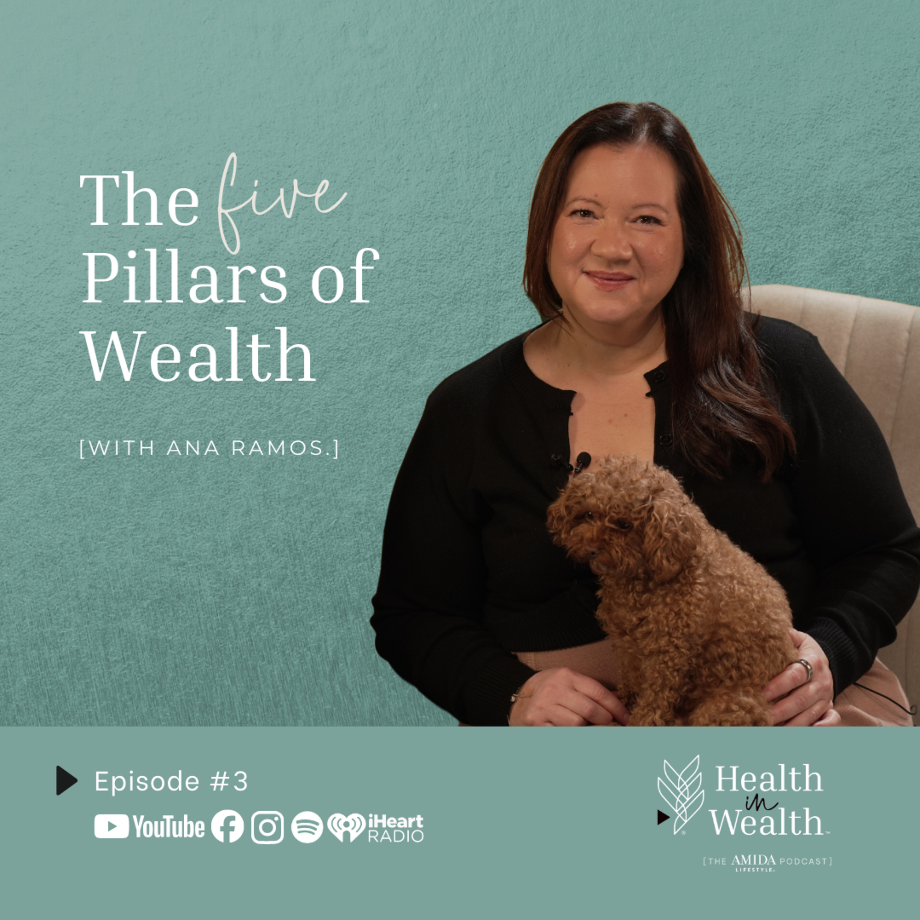 Health in Wealth® Ep 3 - Introducing the Five Pillars of Wealth with Ana Ramos episode artwork