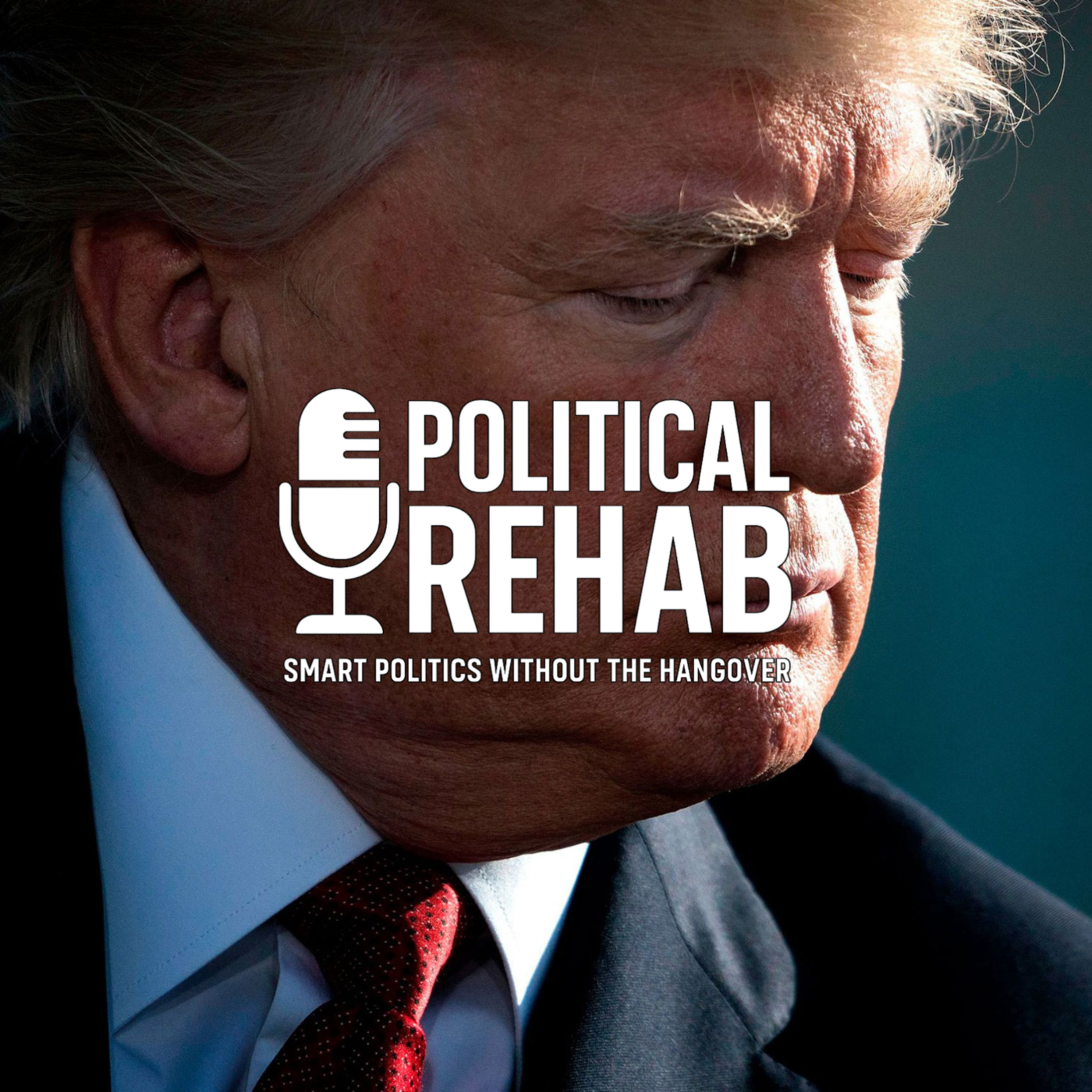 Political Rehab: Smart Politics without the Hangover