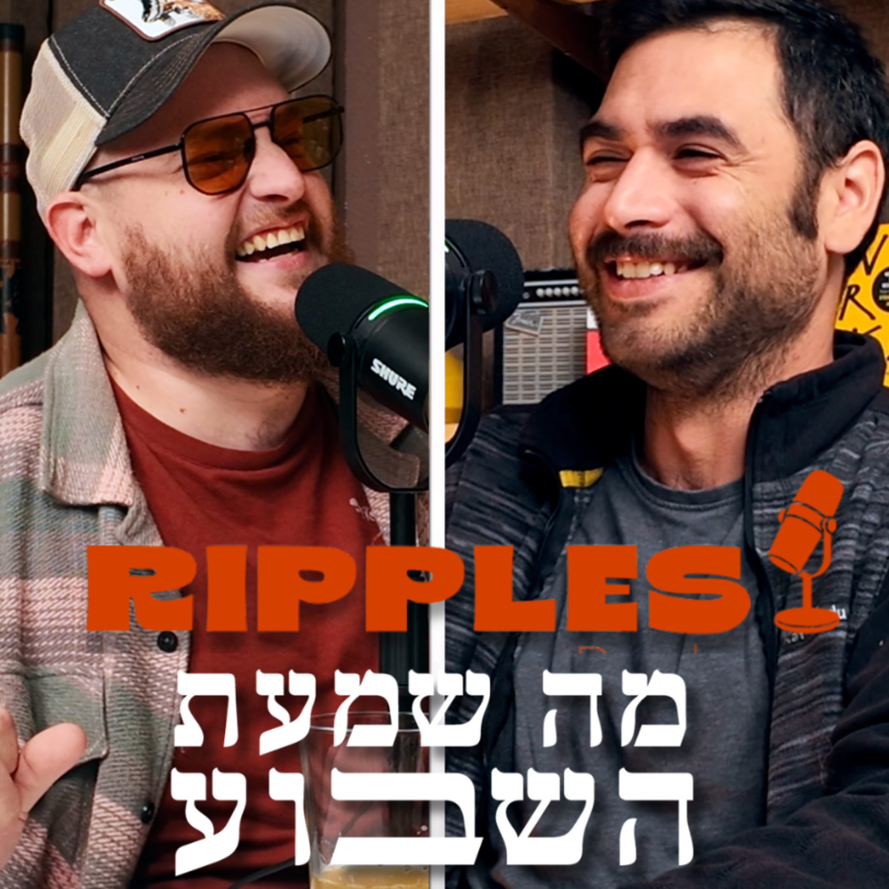 ״אפקט הסטיבי וונדר״ episode artwork