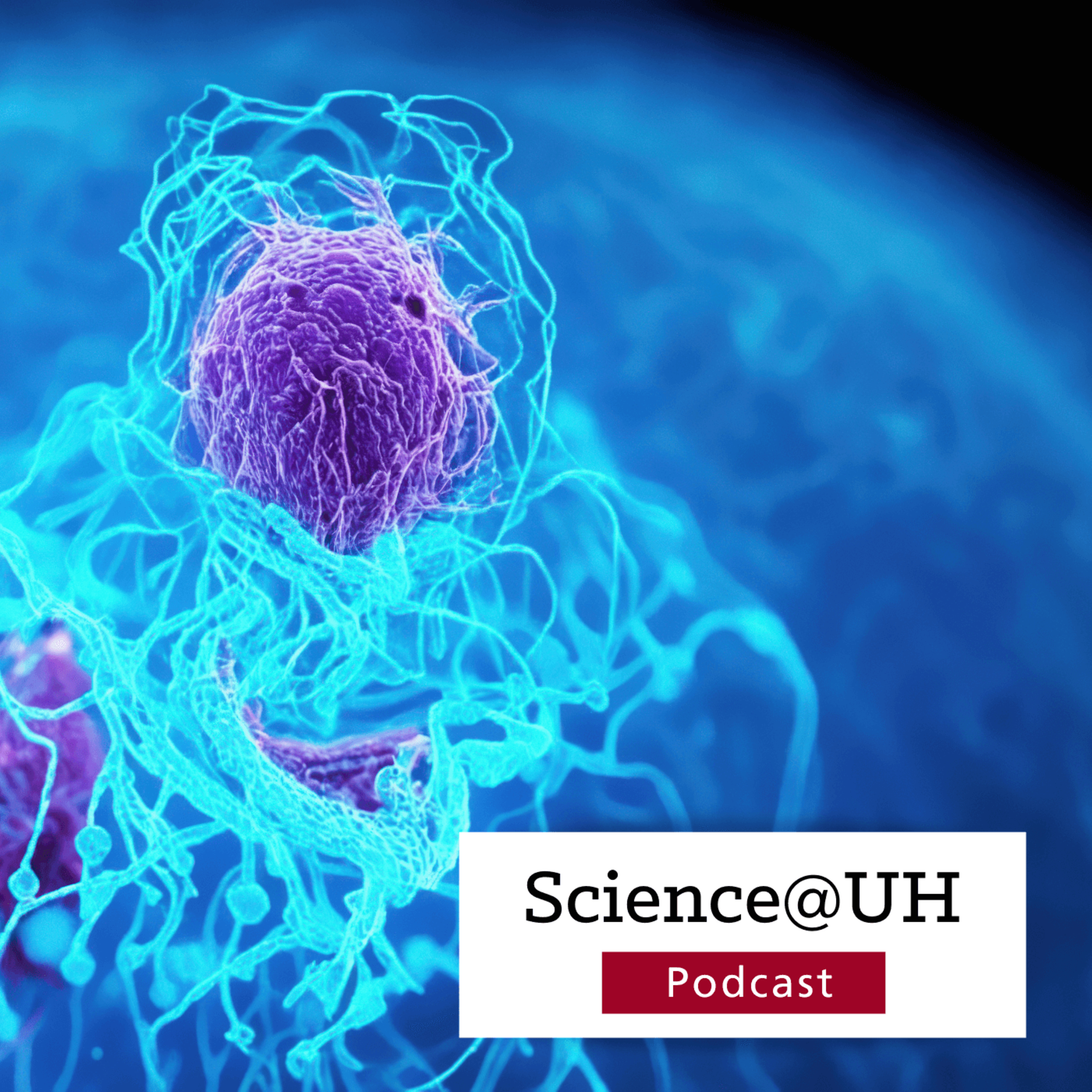 A Regional Powerhouse for Cancer Discovery and Patient Impact episode artwork