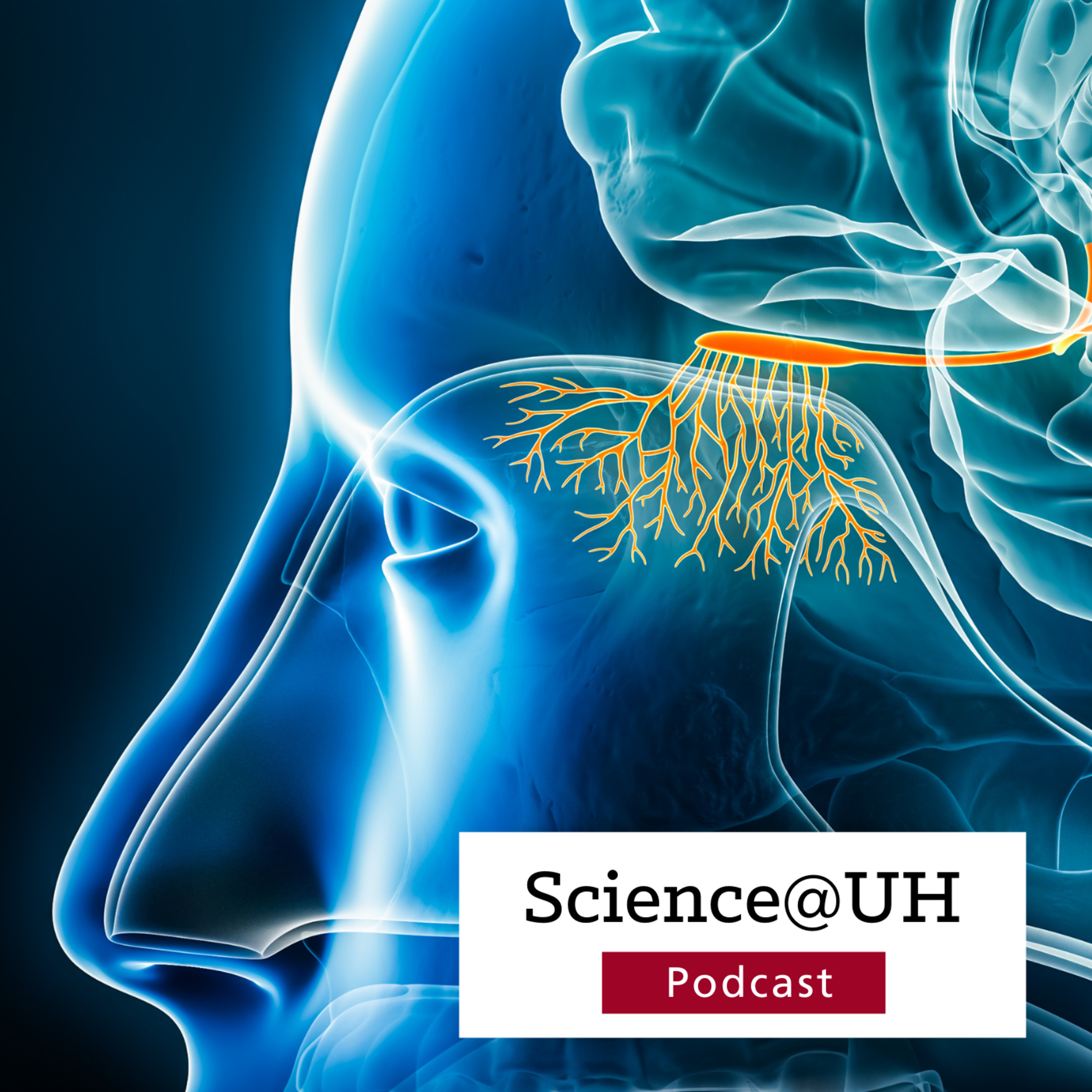 The Science of Smell: AROMA Testing and Brain Health episode artwork