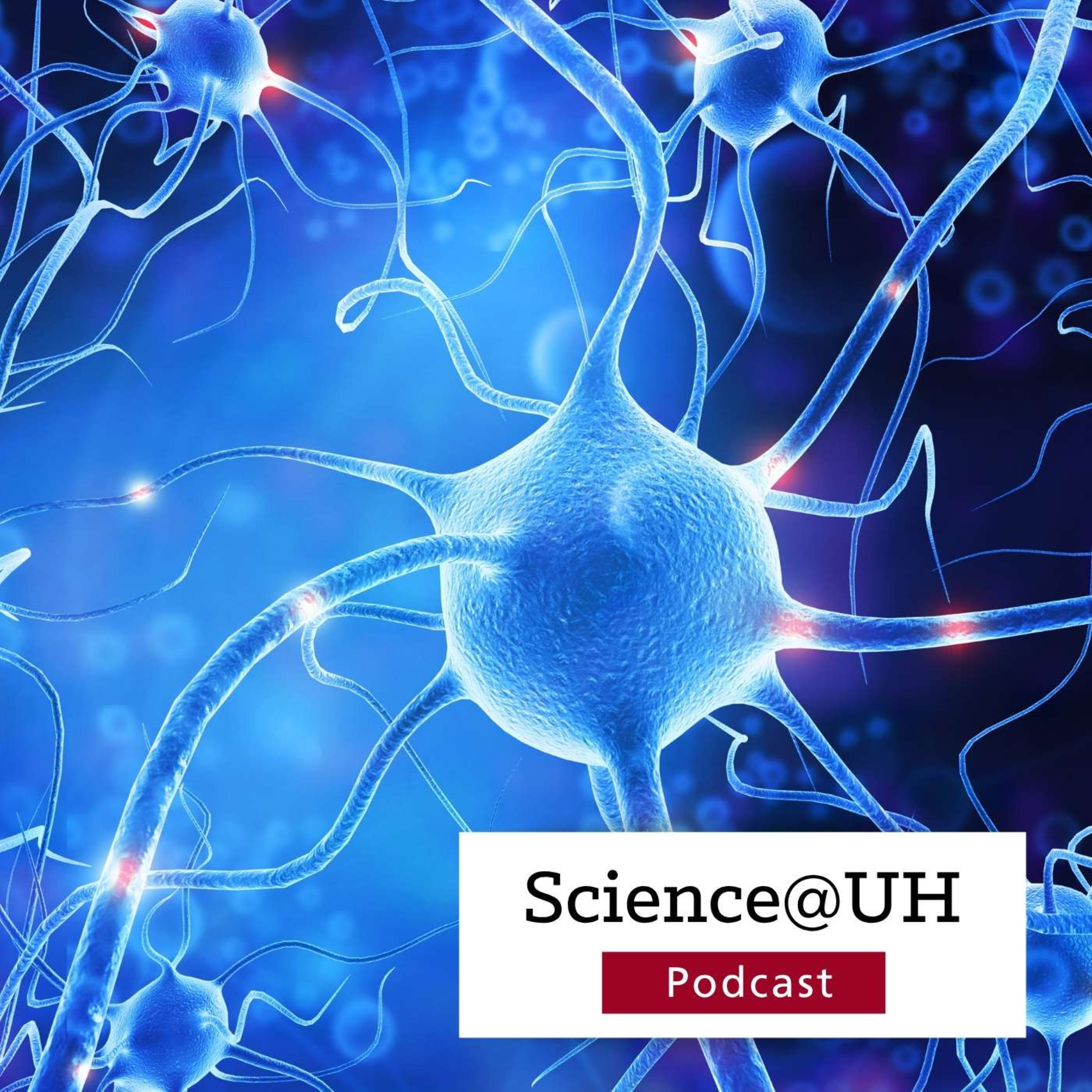 Breaking Into the Brain: Overcoming Barriers to Understand Autism and Brain Tumors episode artwork