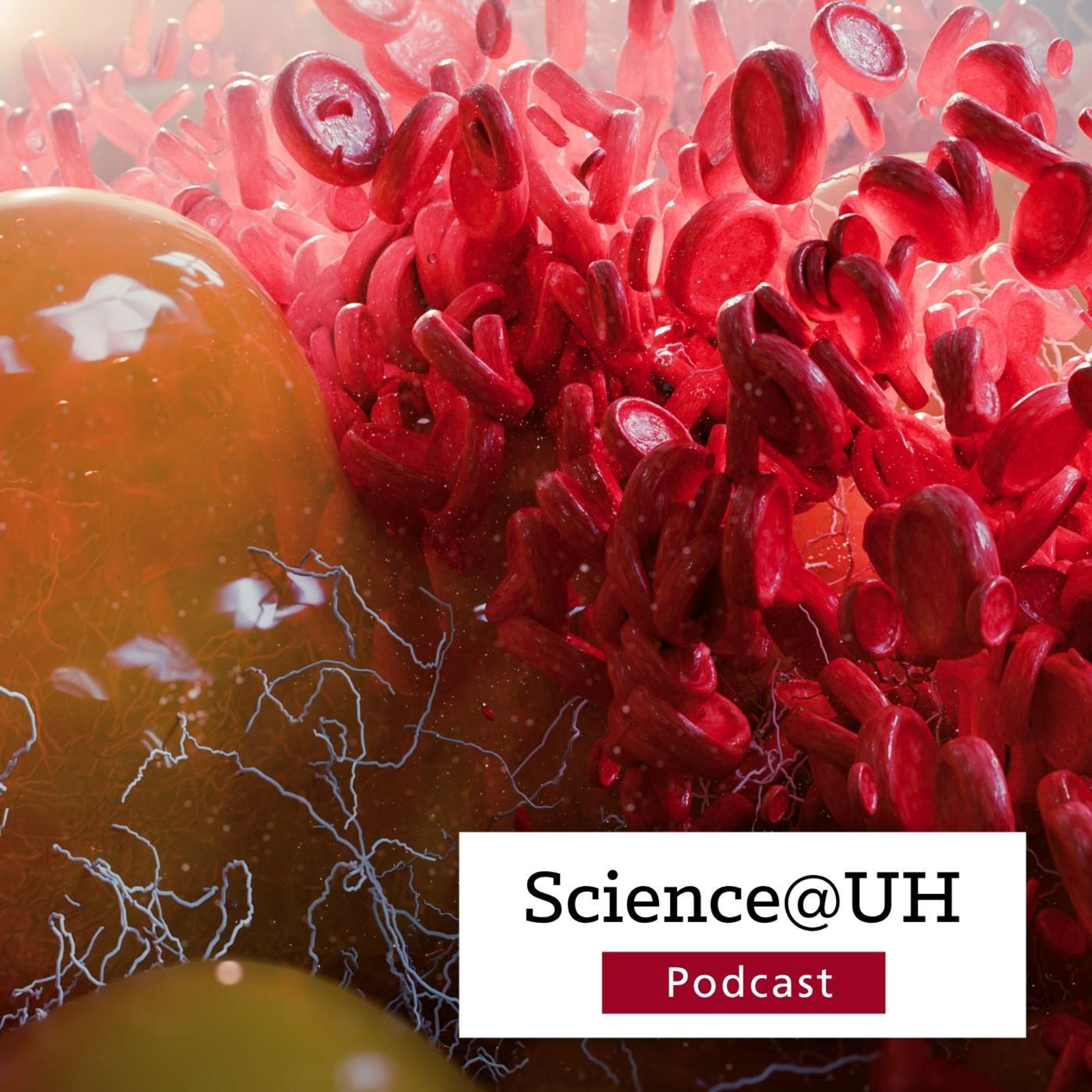 From GLP-1 to Triple Agonists: Transforming Cardiometabolic Care episode artwork