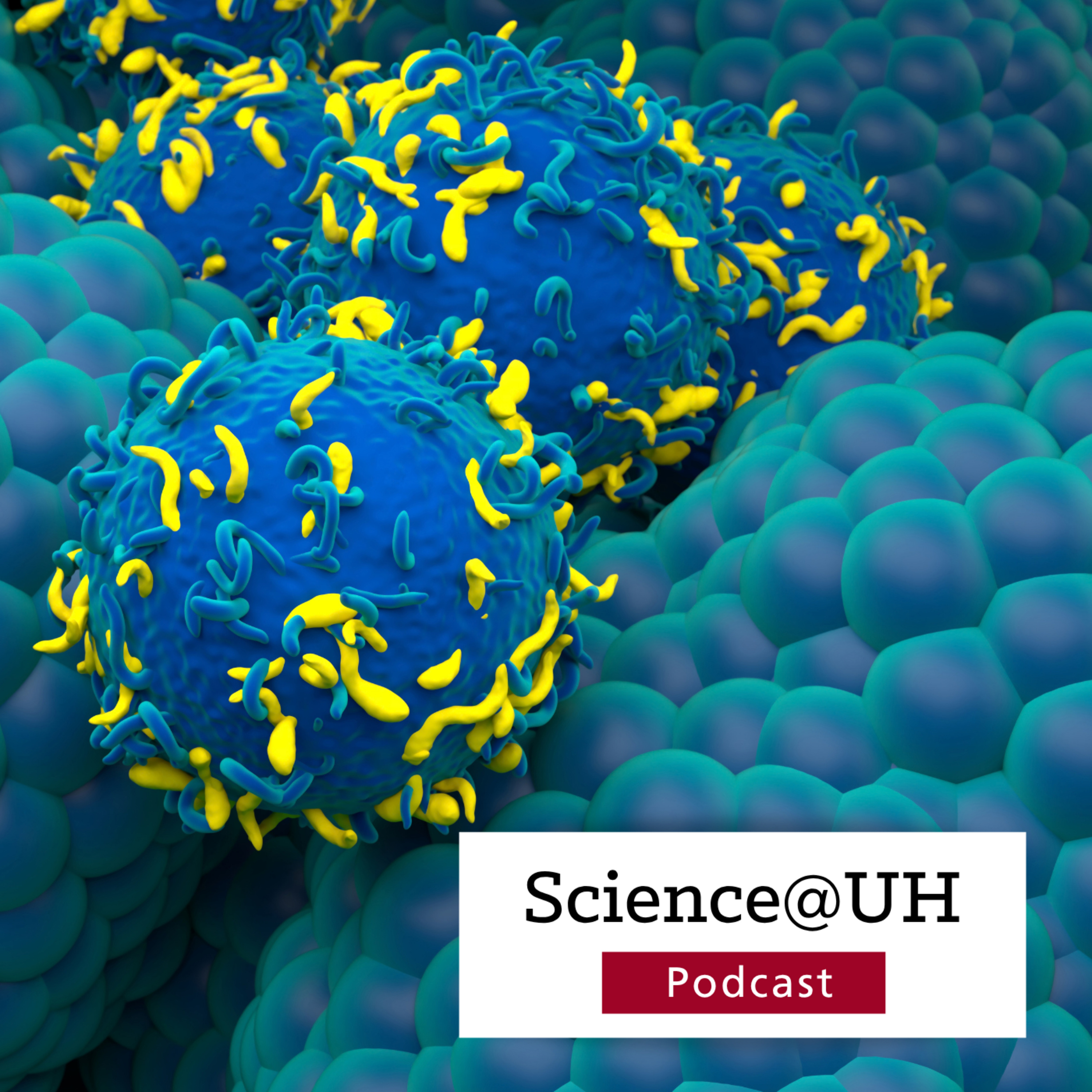 From Lab to Life: Expanding the Power of CAR T-Cells episode artwork