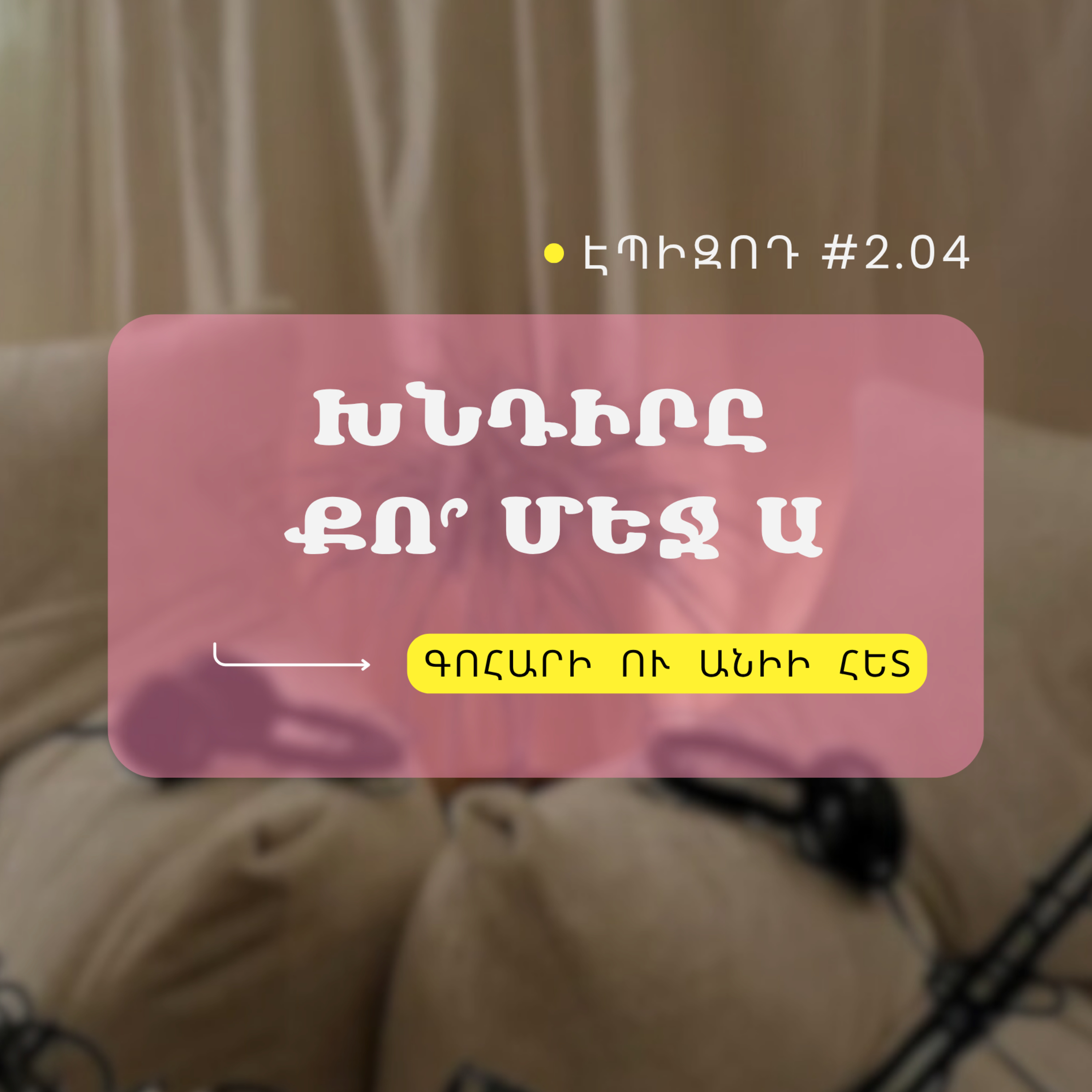 #2.04 Խնդիրը քո՞ մեջ ա episode artwork