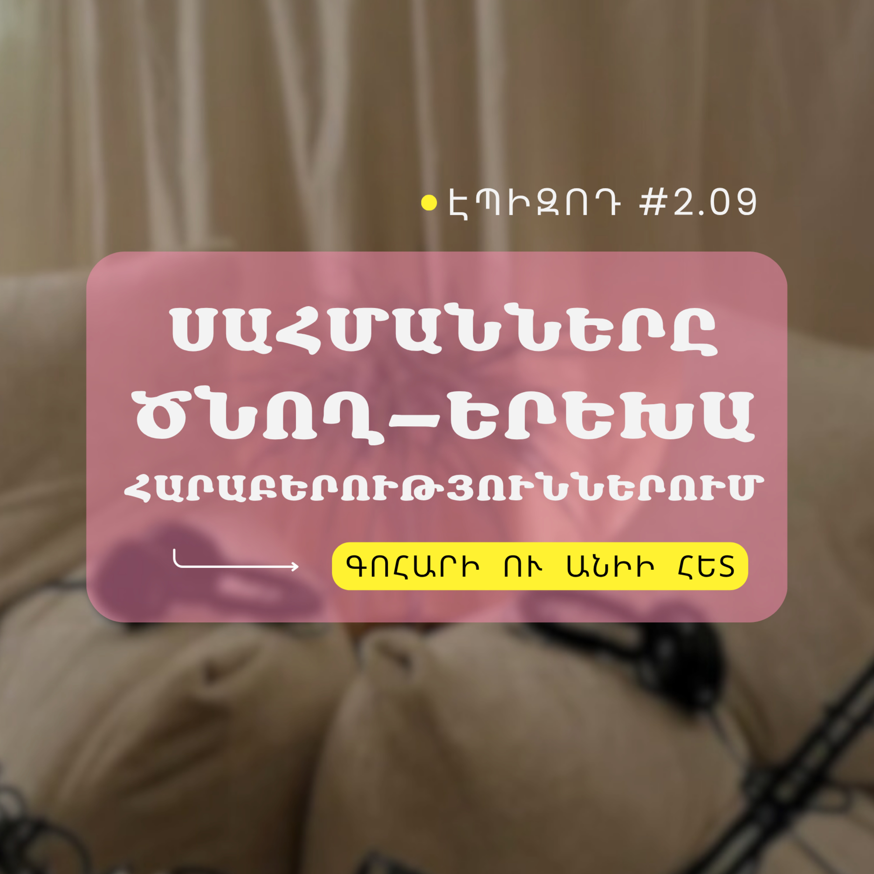 #2.09 Սահմանները ծնող-երեխա հարաբերություններում episode artwork