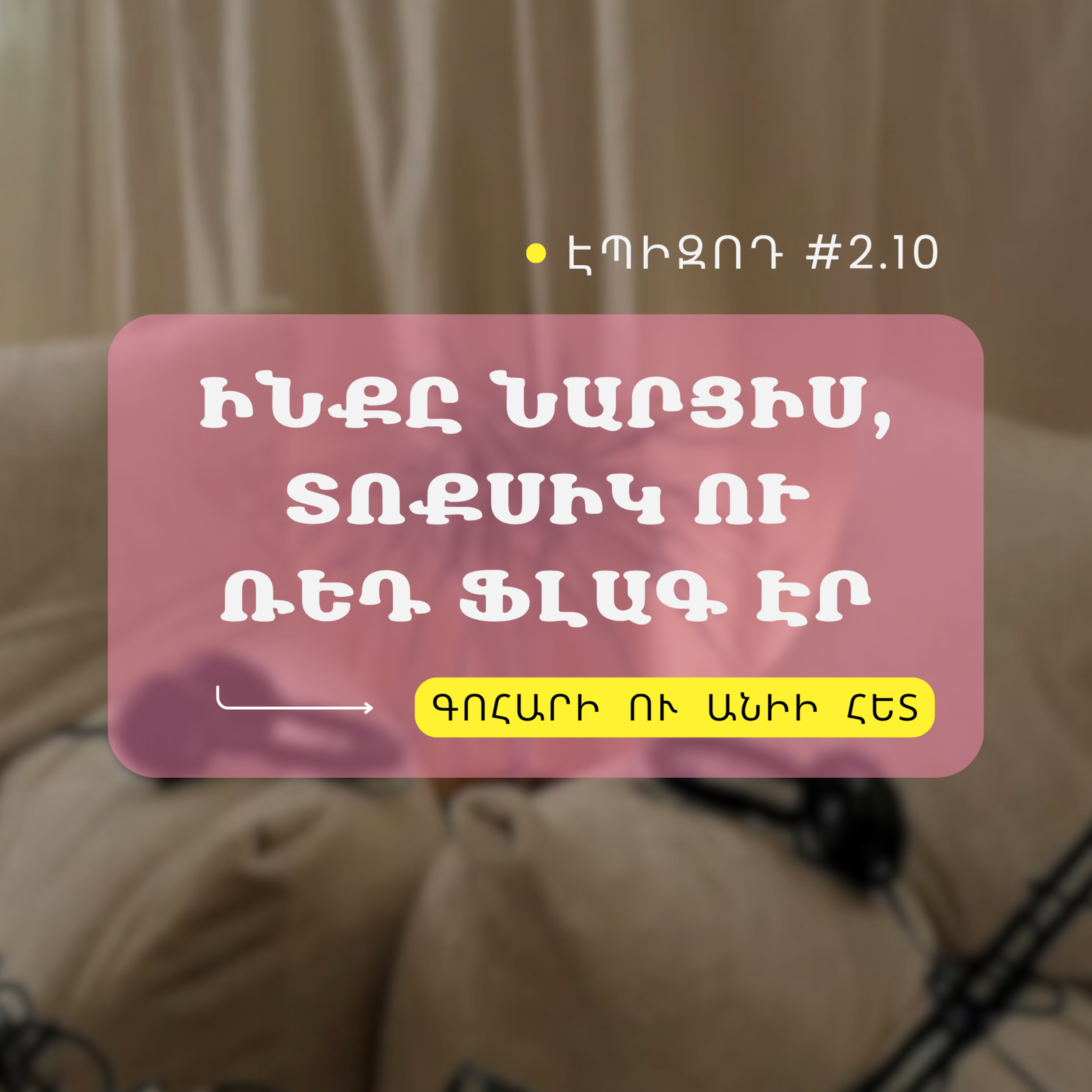 #2.10 Ինքը նարցիս, տոքսիկ ու ռեդ ֆլագ էր episode artwork