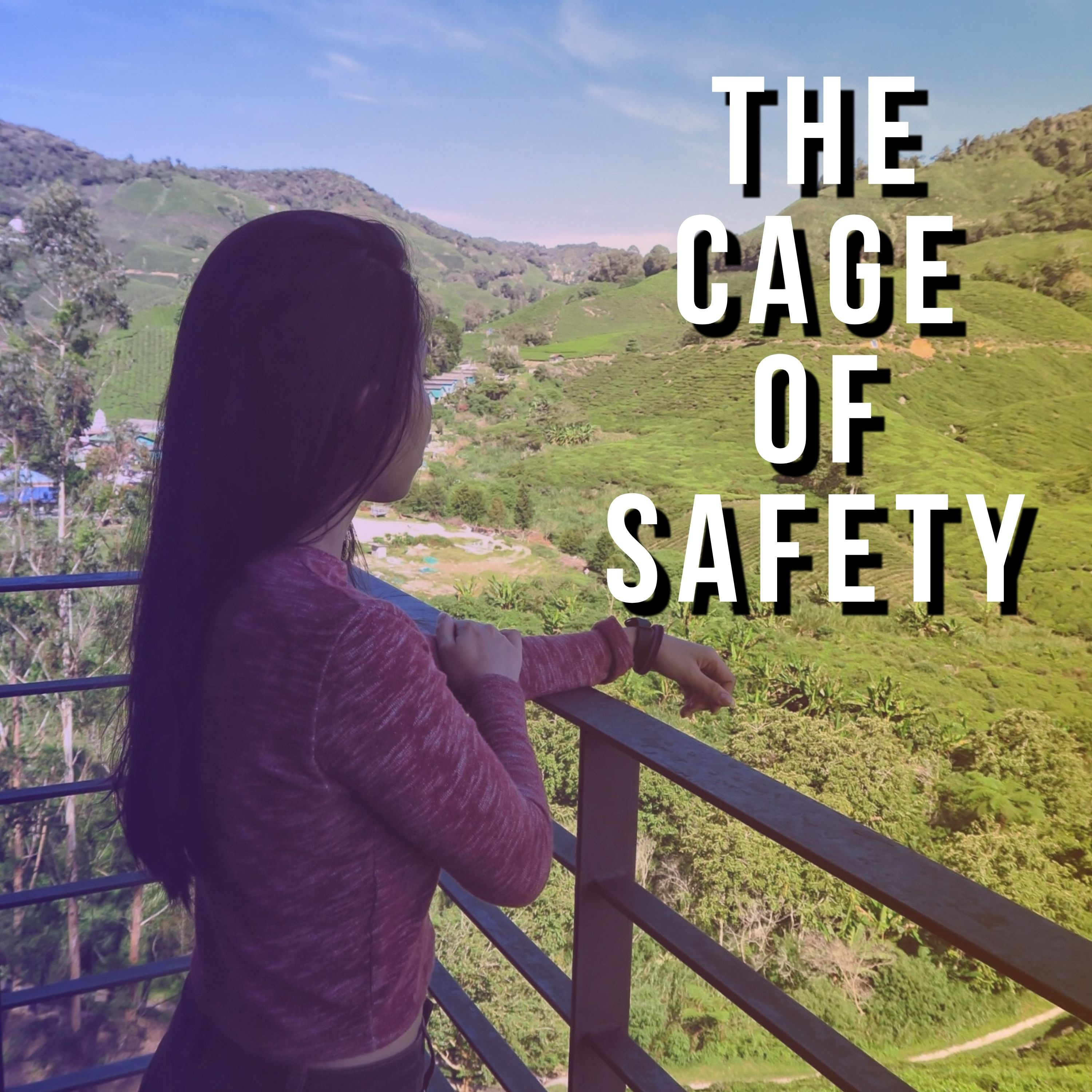 The Hidden Cost of Playing it Safe episode artwork
