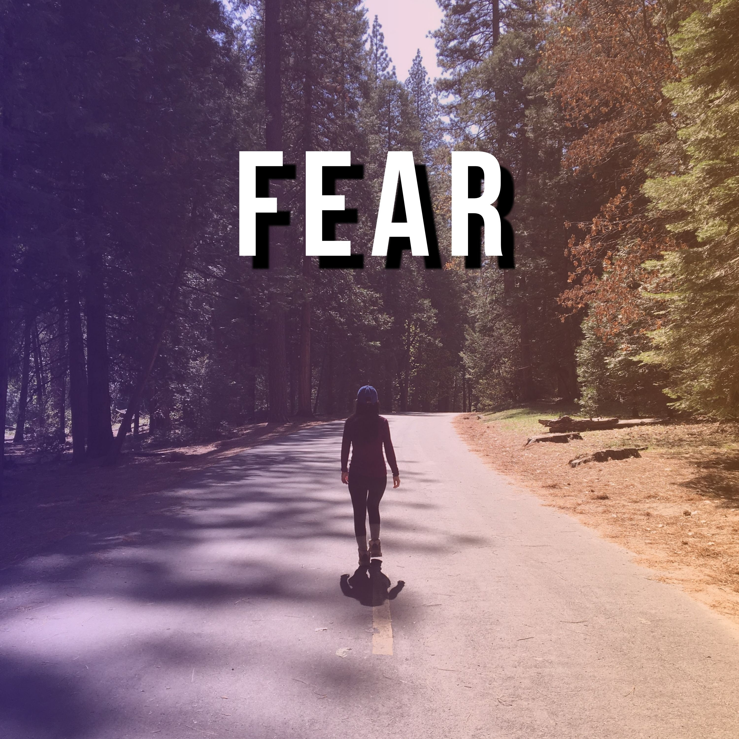 Fear episode artwork