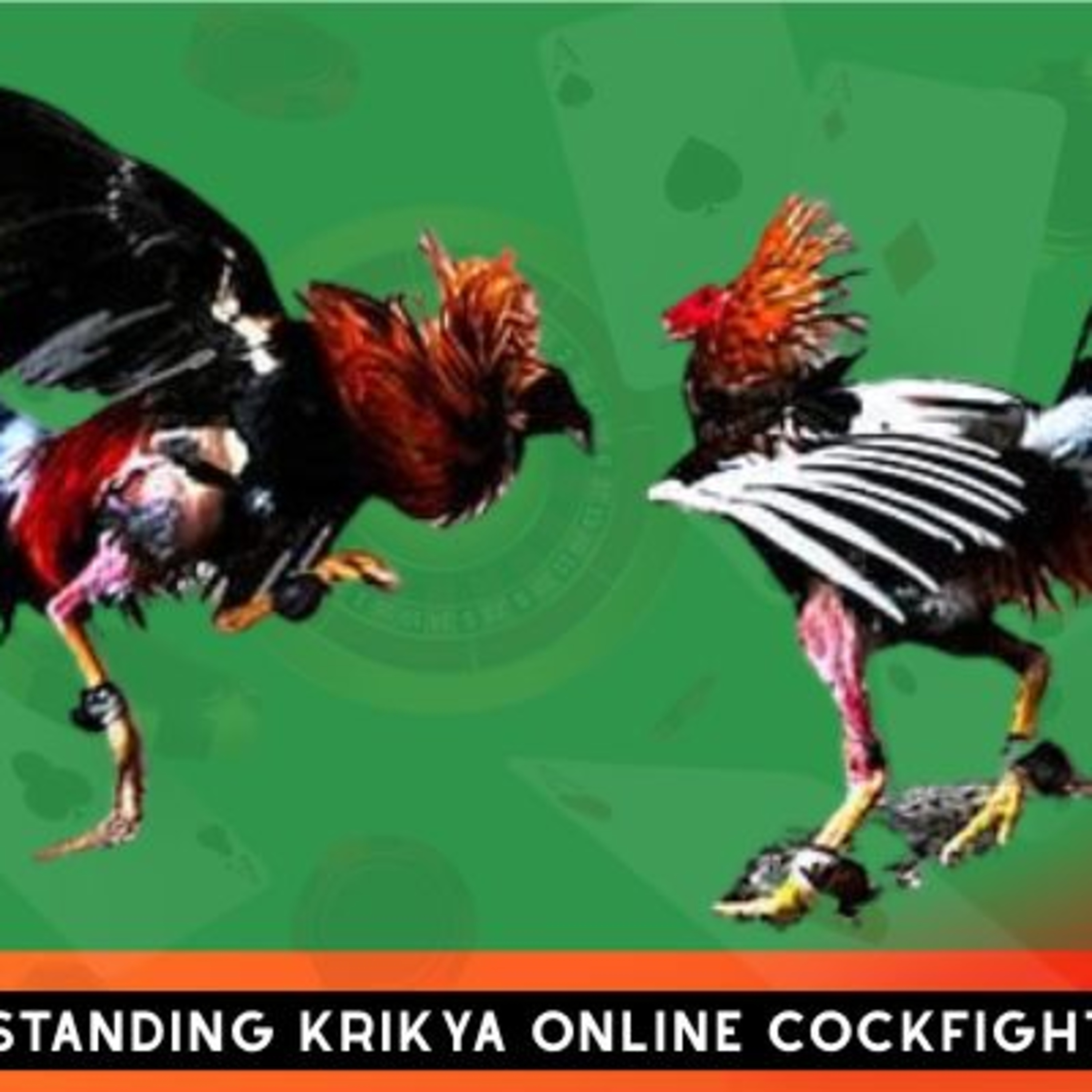 Krikya: The Ultimate No.1 Destination for Bangladesh Bettors