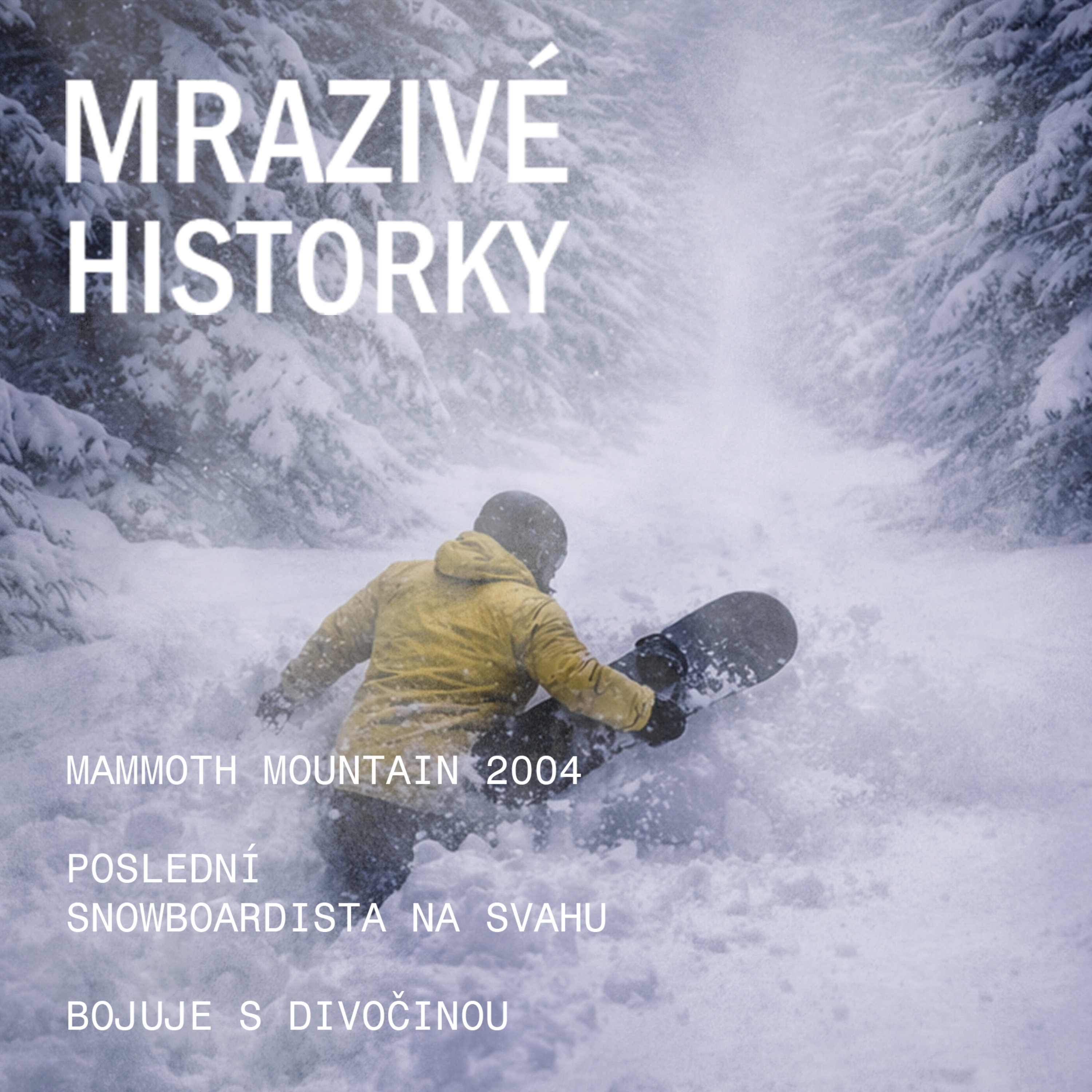 Mammoth Mountain 2004 (2/2) - Trosečník na snowboardu bojuje proti mrazivé divočině episode artwork