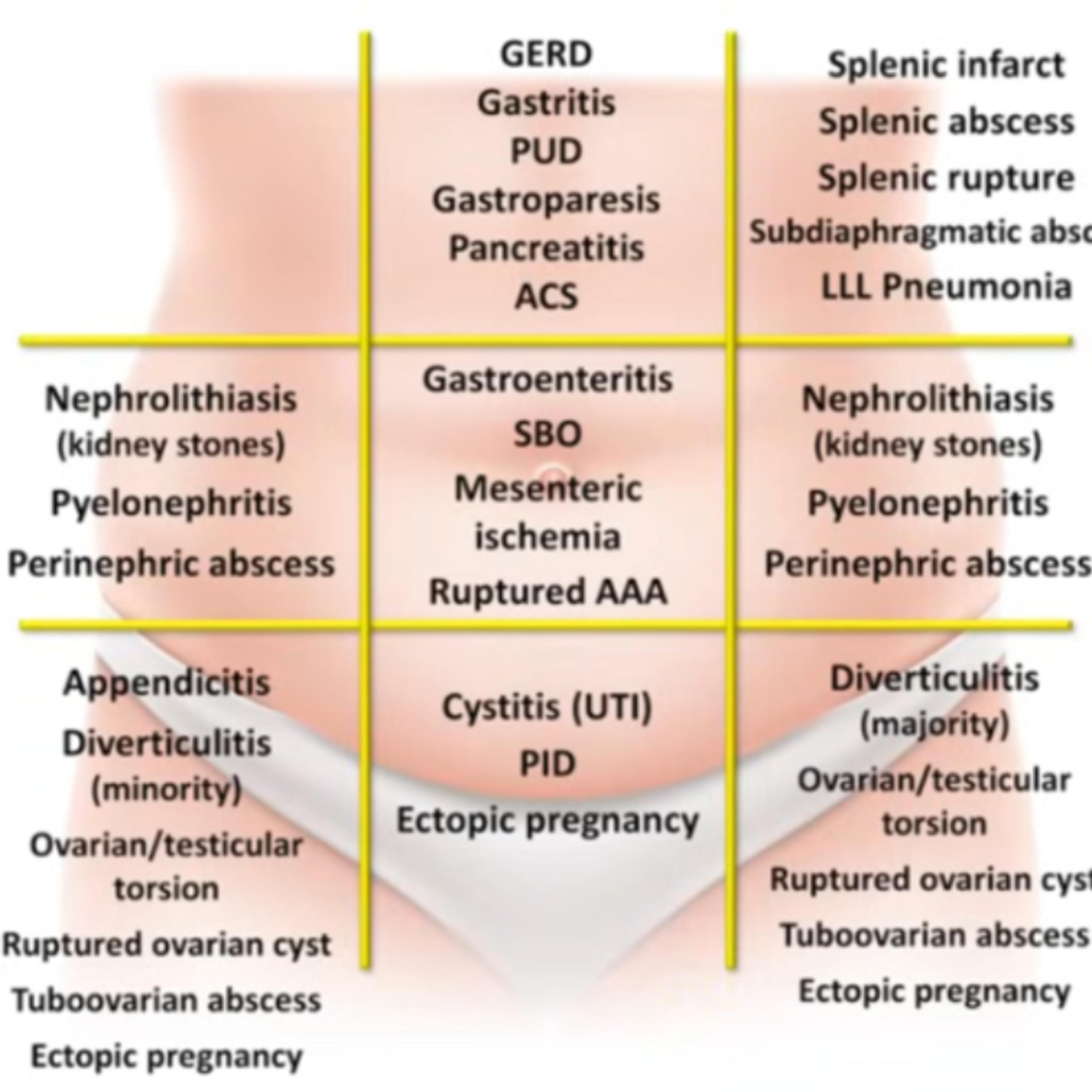 Mbbs made easy: (APPROACH TO INTEGRATED MEDICINE)