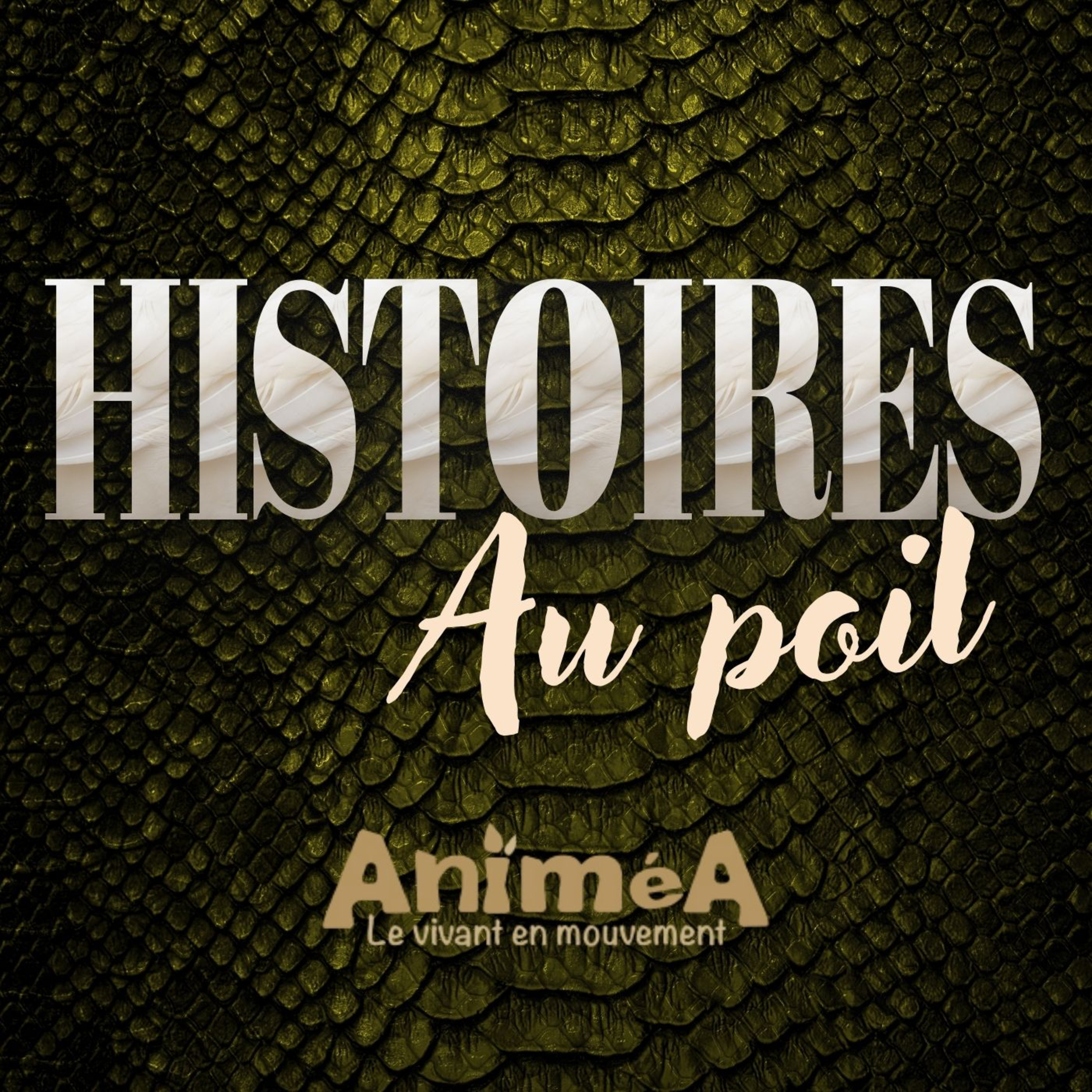 Portrait - L’écureuil roux : secrets et habitudes  episode artwork