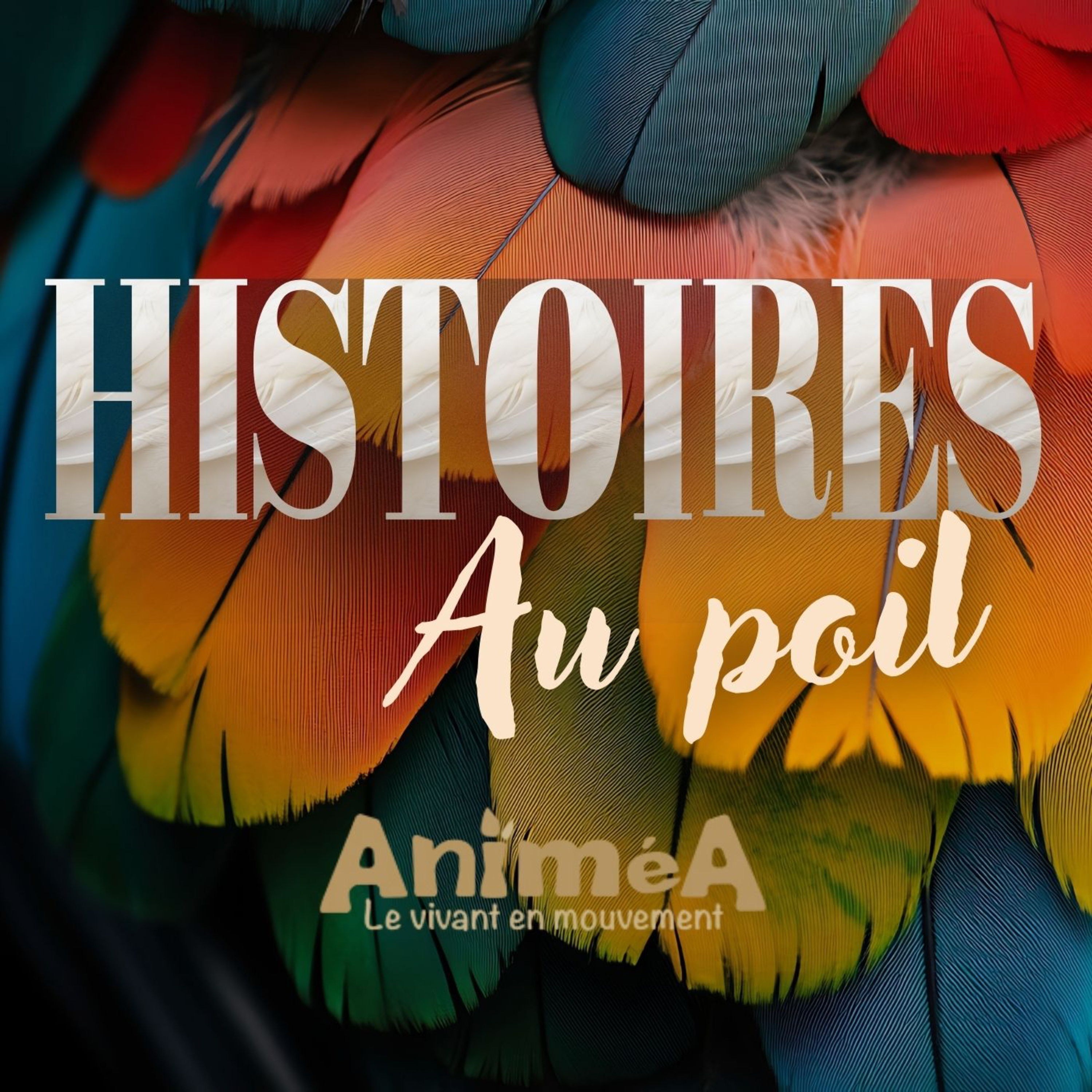 Episode spécial - Interview de OUPSNCO, une asso de protection des NACs episode artwork