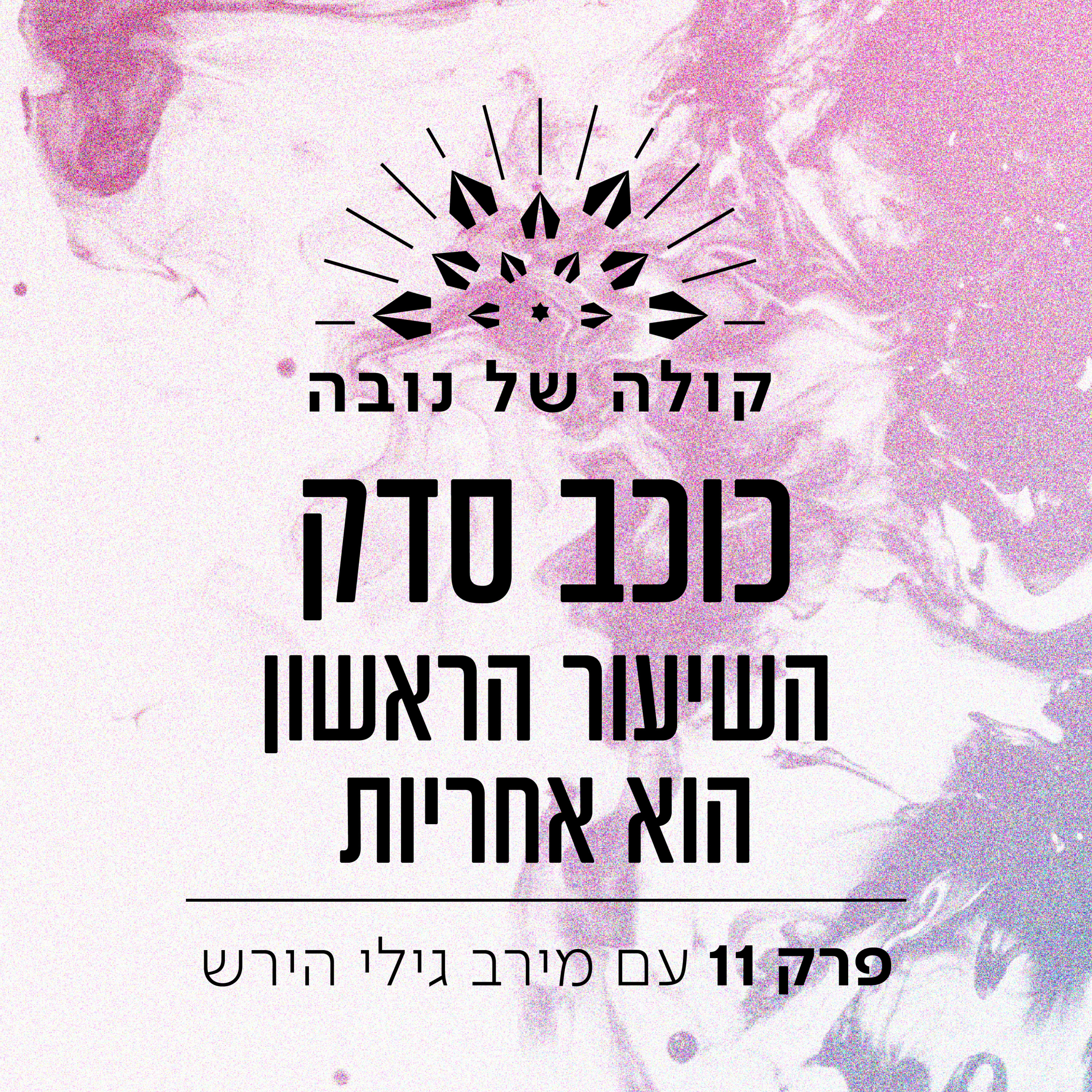 פרק 11 - מירב גילי הירש ״כוכב סדק - השיעור הראשון הוא אחריות״ episode artwork