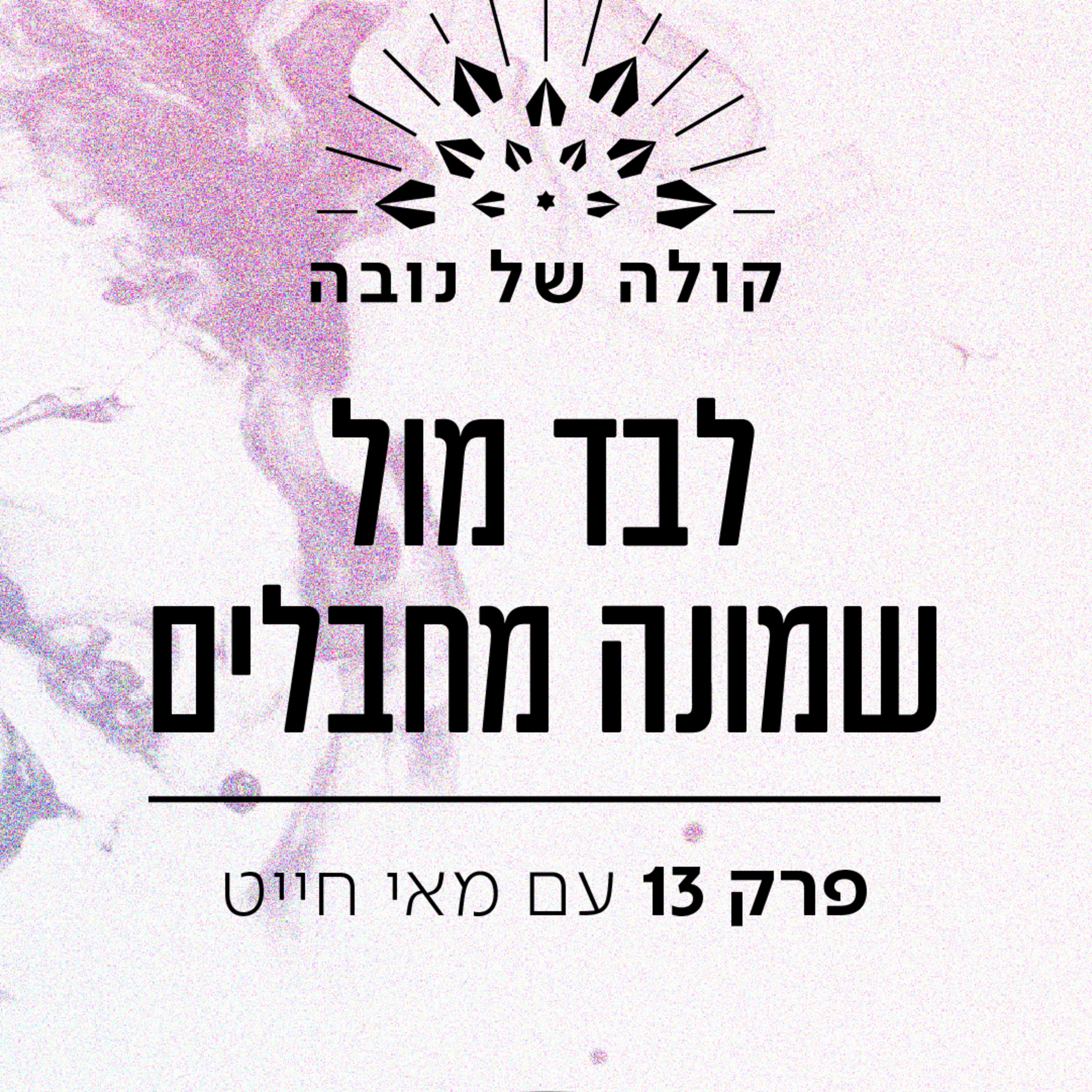 פרק 13 - מאי חייט ״לבד מול שמונה מחבלים״ episode artwork