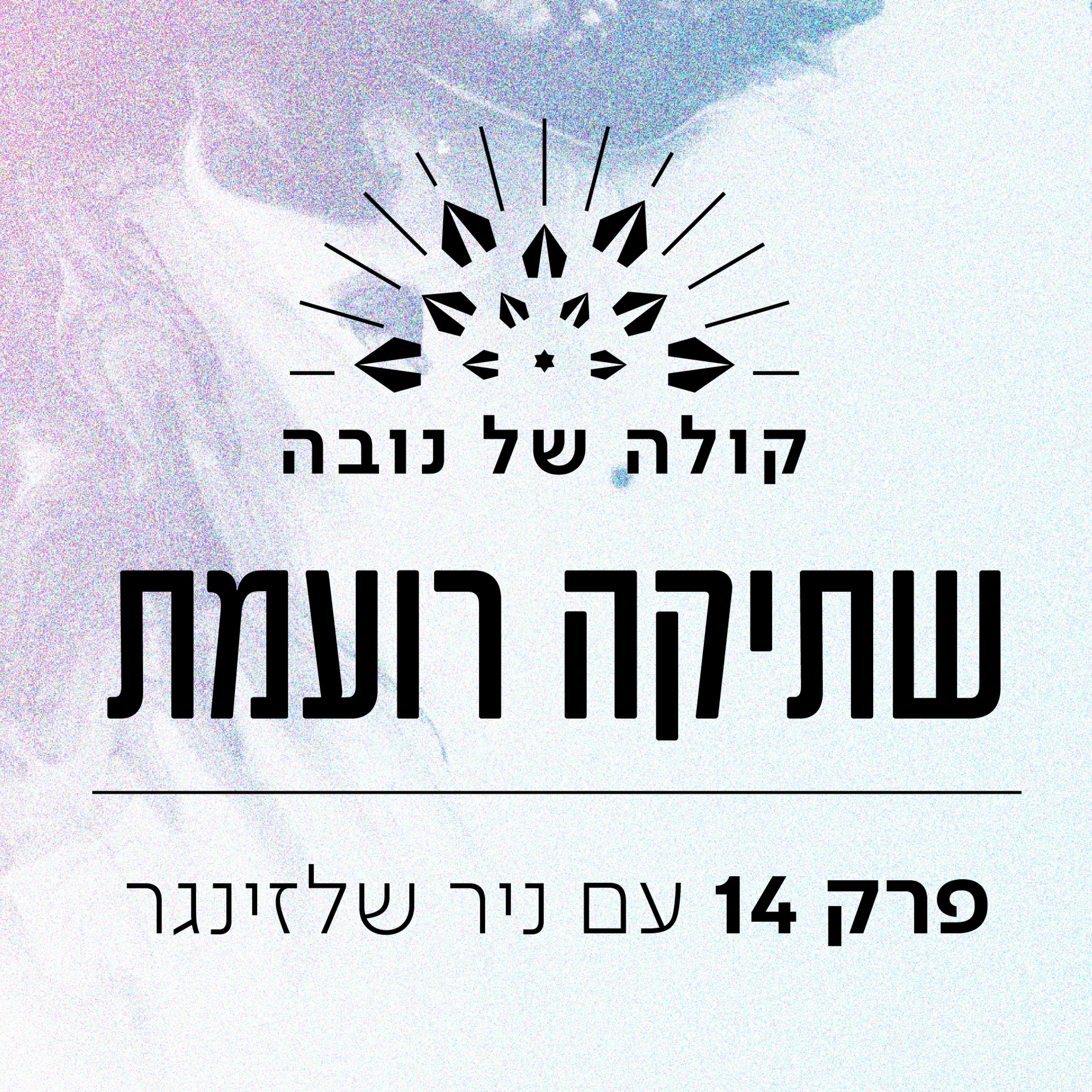פרק 14 - ניר שלזינגר ״שתיקה רועמת״ episode artwork