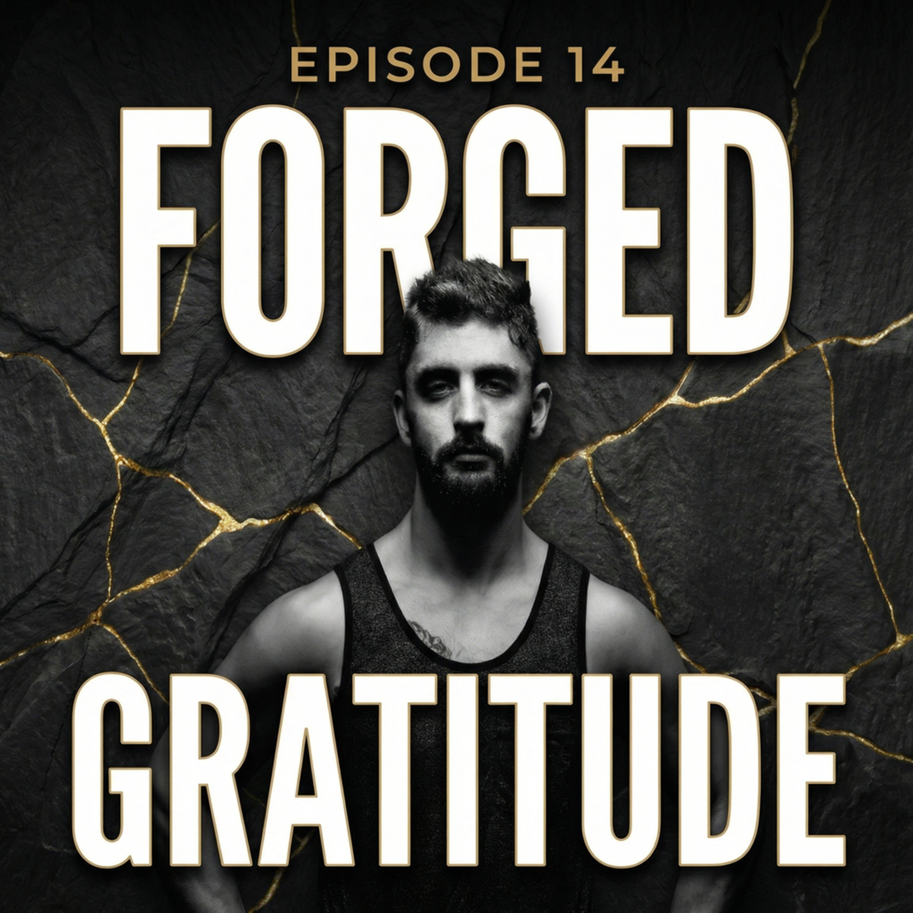 Ep. 14: The Weaponization of Gratitude (Forged Gratitude vs. Civilian Sentiment) episode artwork