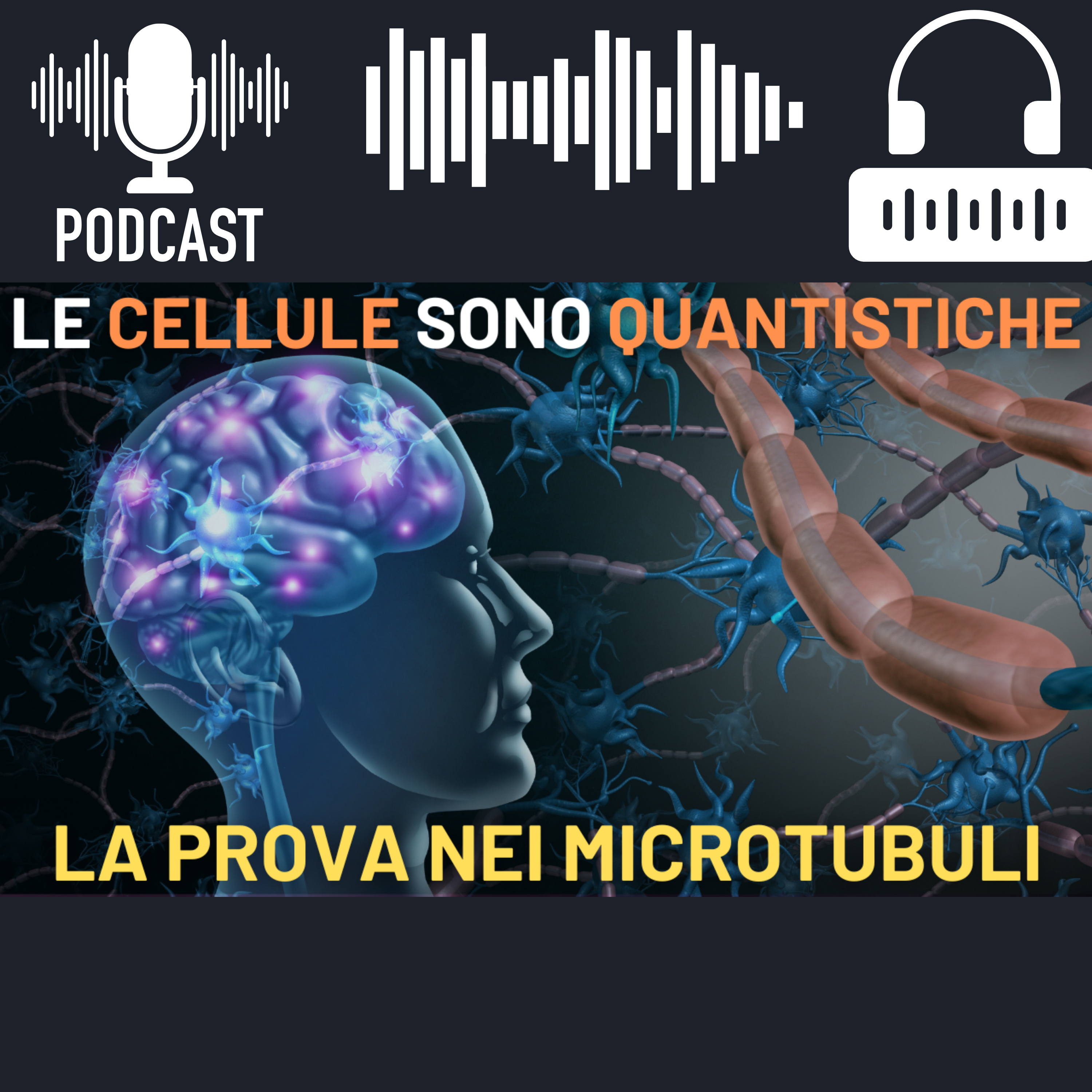 Le Cellule Sono Quantistiche: Il Nuovo Studio Sui Microtubuli Che Cambia Tutto episode artwork