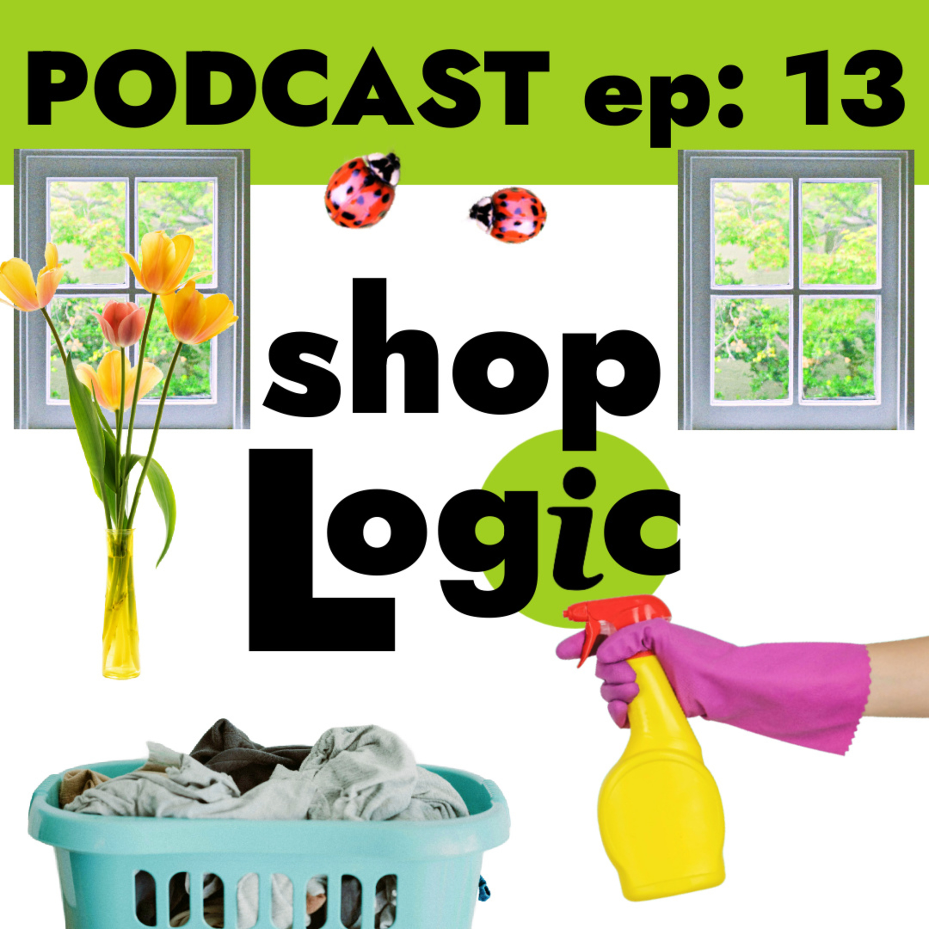 EPISODE 13: SPRING CLEANING, TOXIC CLEANING SUPPLIES & ALTERNATIVES, GOOD & BAD KITCHEN & LAUNDRY BRANDS, HOME AIR FILTERS & VENTILATION, BUG REMOVAL, DONATIONS episode artwork