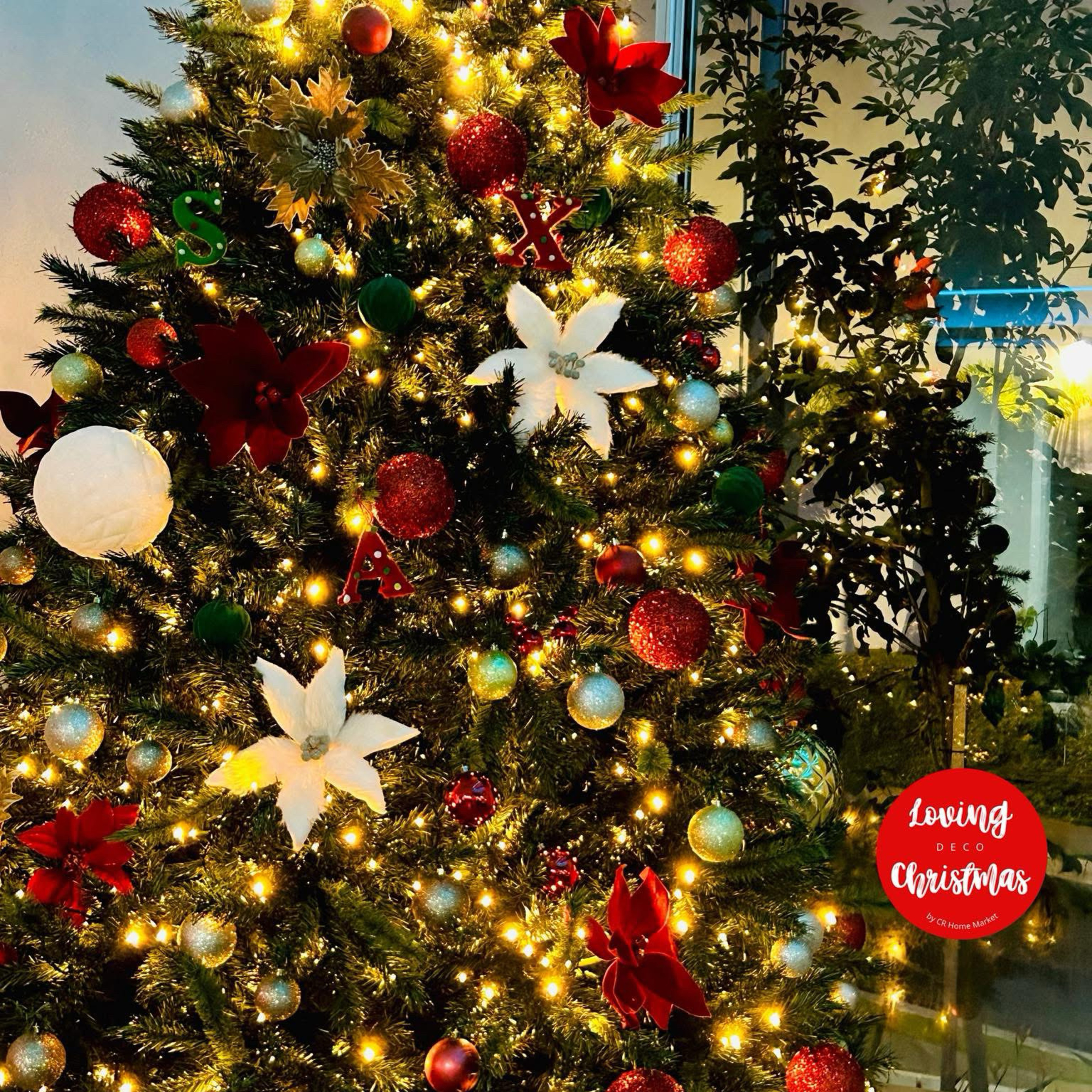 Portada de Amamos la Navidad con Ana