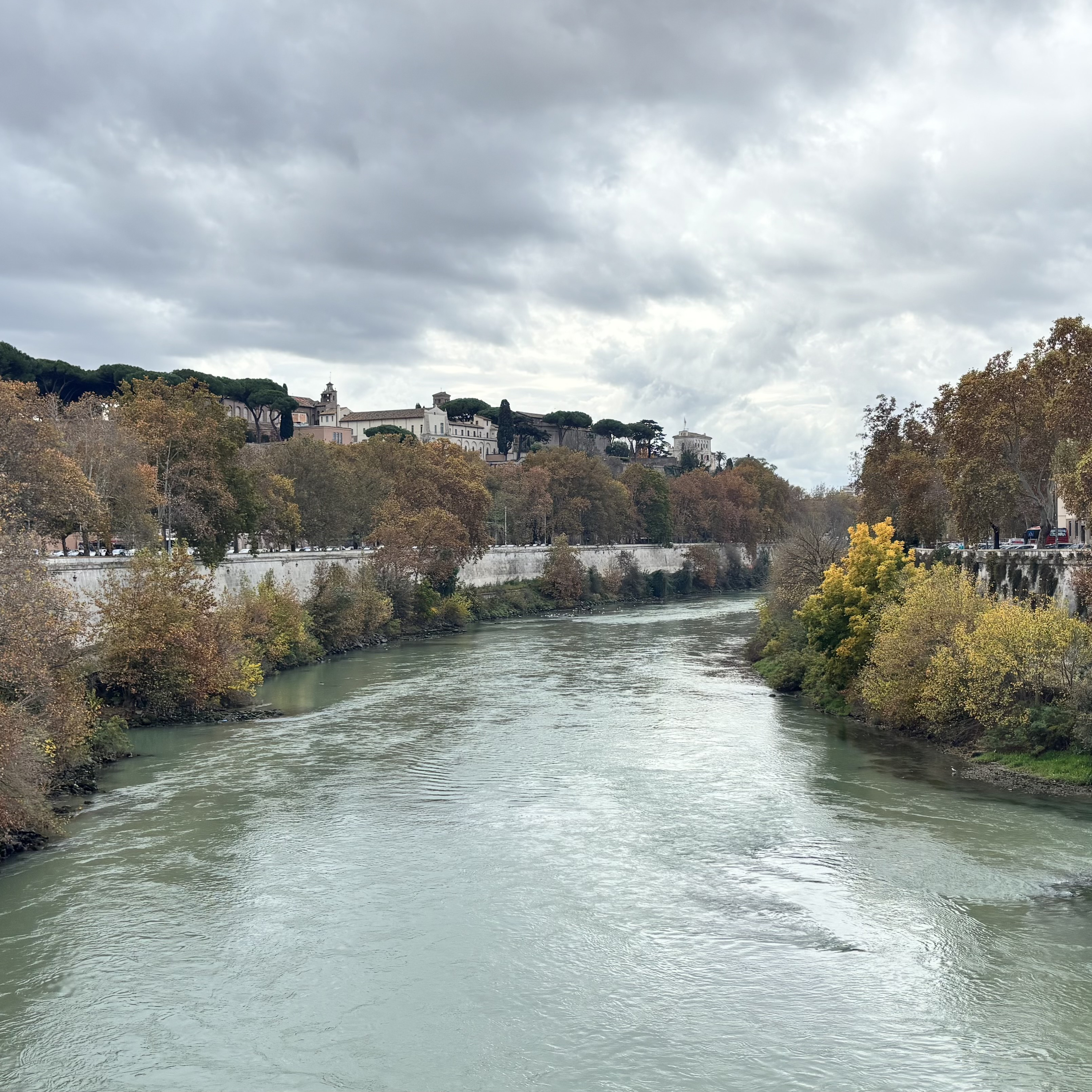 Suy Niệm Kinh Mân Côi mỗi ngày