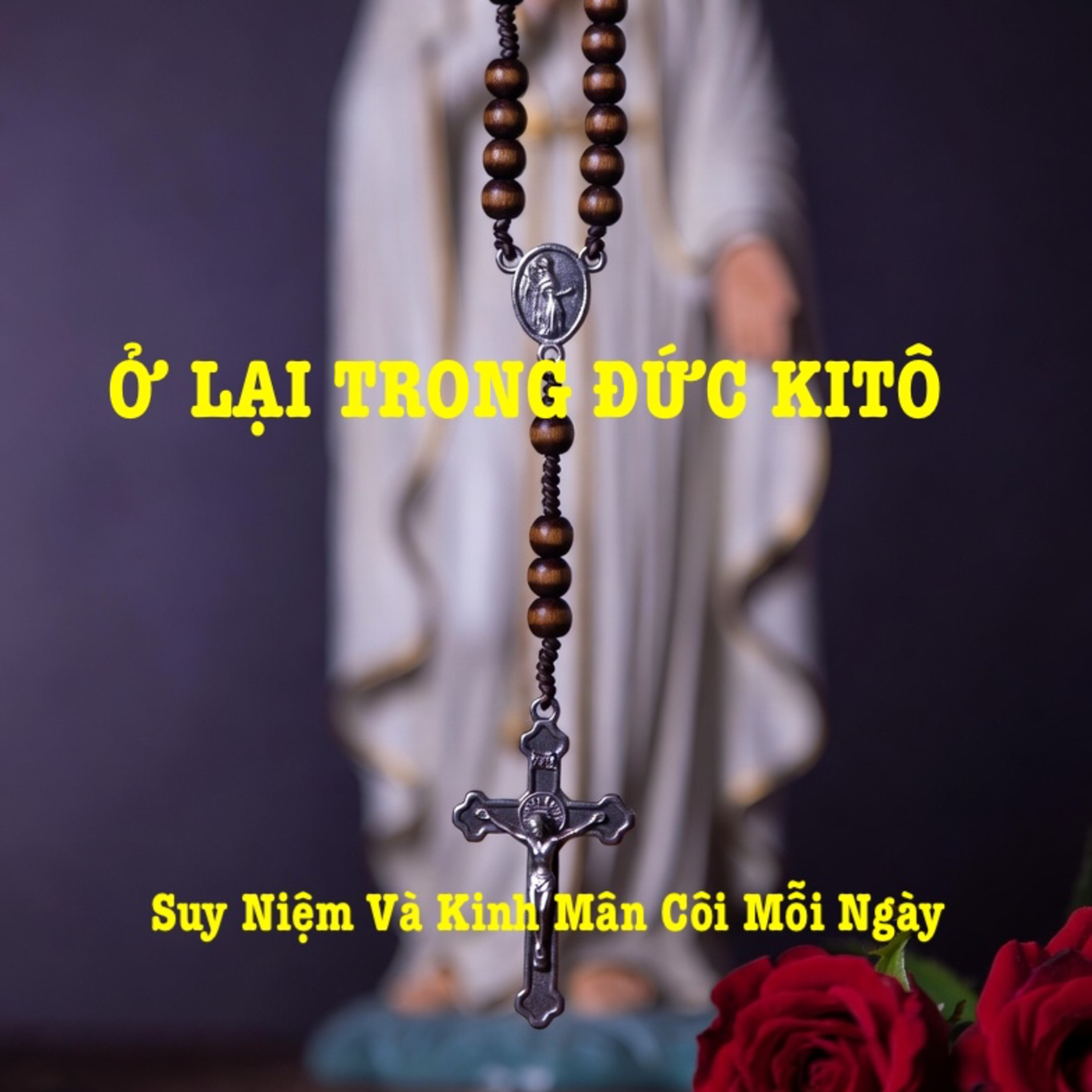 Ở LẠI TRONG ĐỨC KITÔ🌹 Fr. Gs Văn Chung,OP🙏 | Suy niệm & Lần chuỗi Mân Côi episode artwork