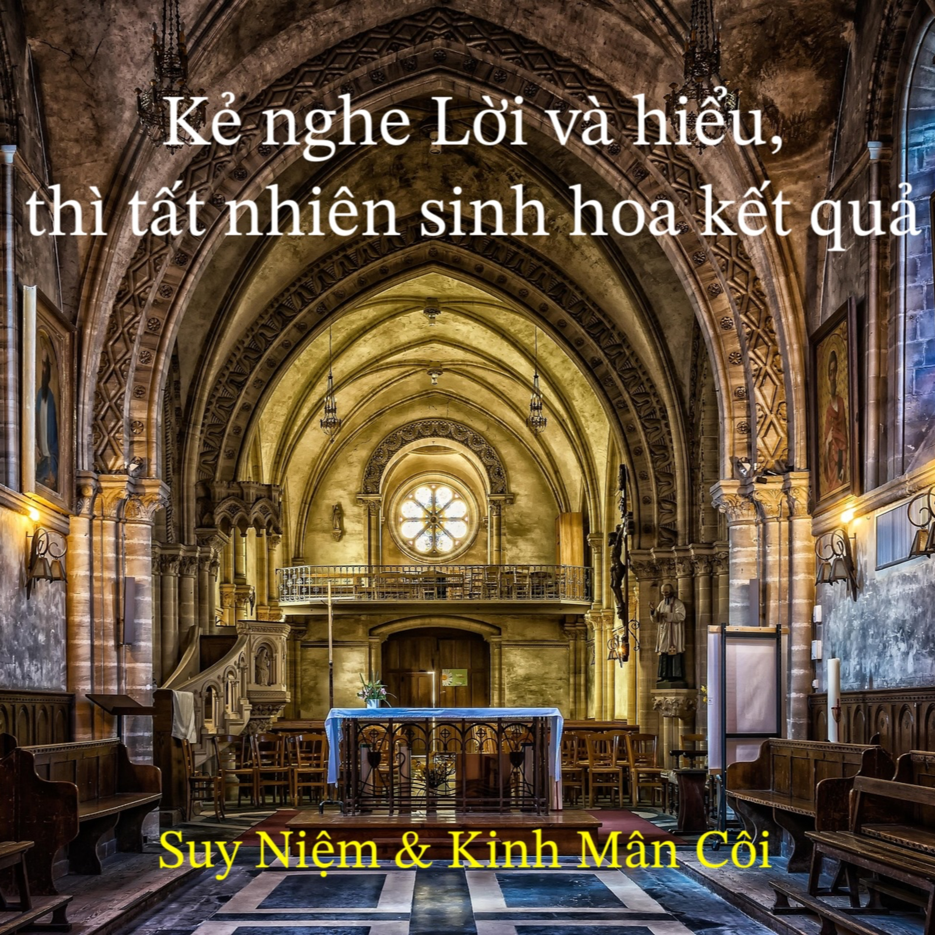 Để Lời Chúa Đơm Hoa Kết Trái 🌹Fr. Gb. Hoàng Dũng, OP🙏 | Suy niệm & Lần chuỗi Mân Côi episode artwork