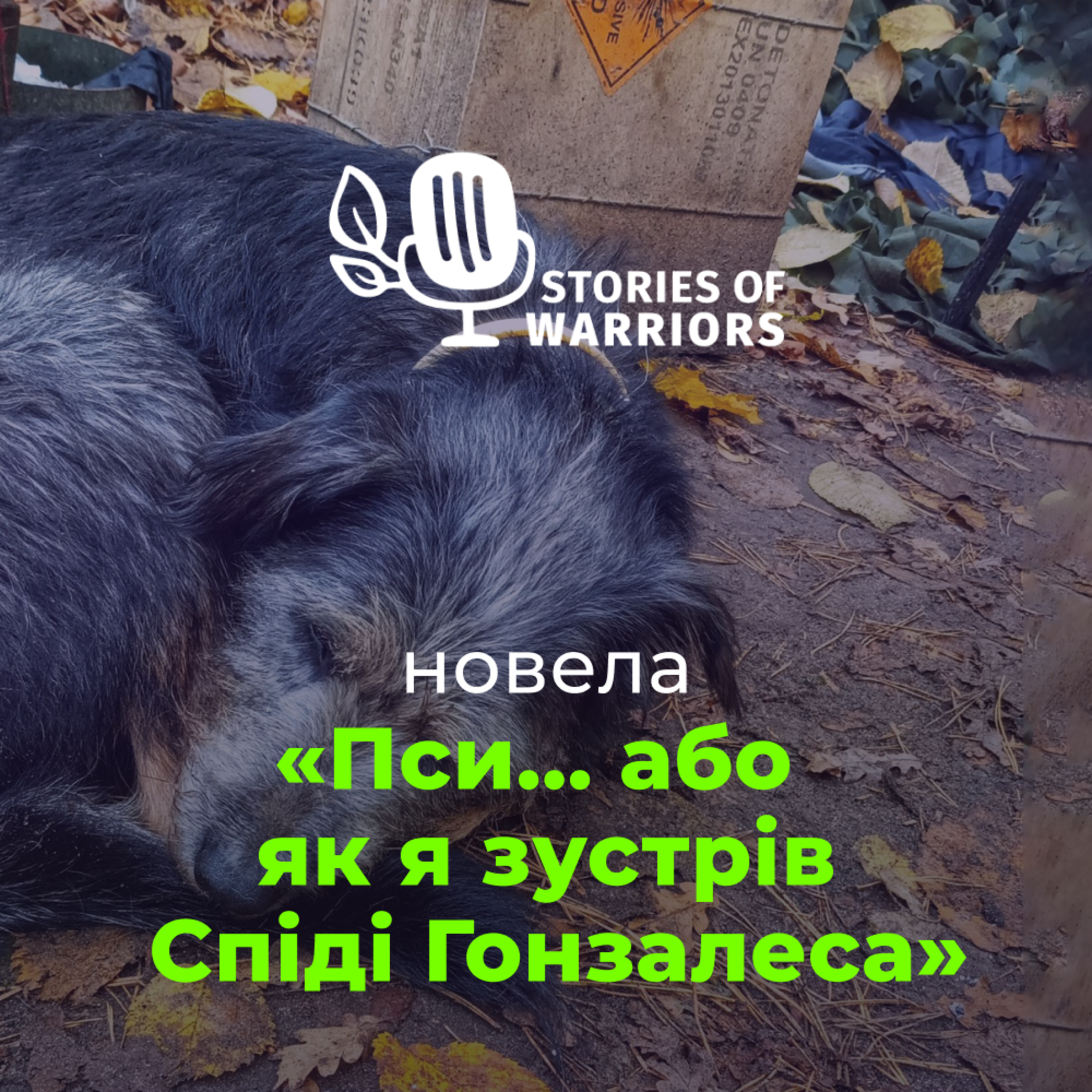 Олександр Буліч «Пси... або як я зустрів Спіді Гонзалеса» (читає Павло Нечитайло) episode artwork
