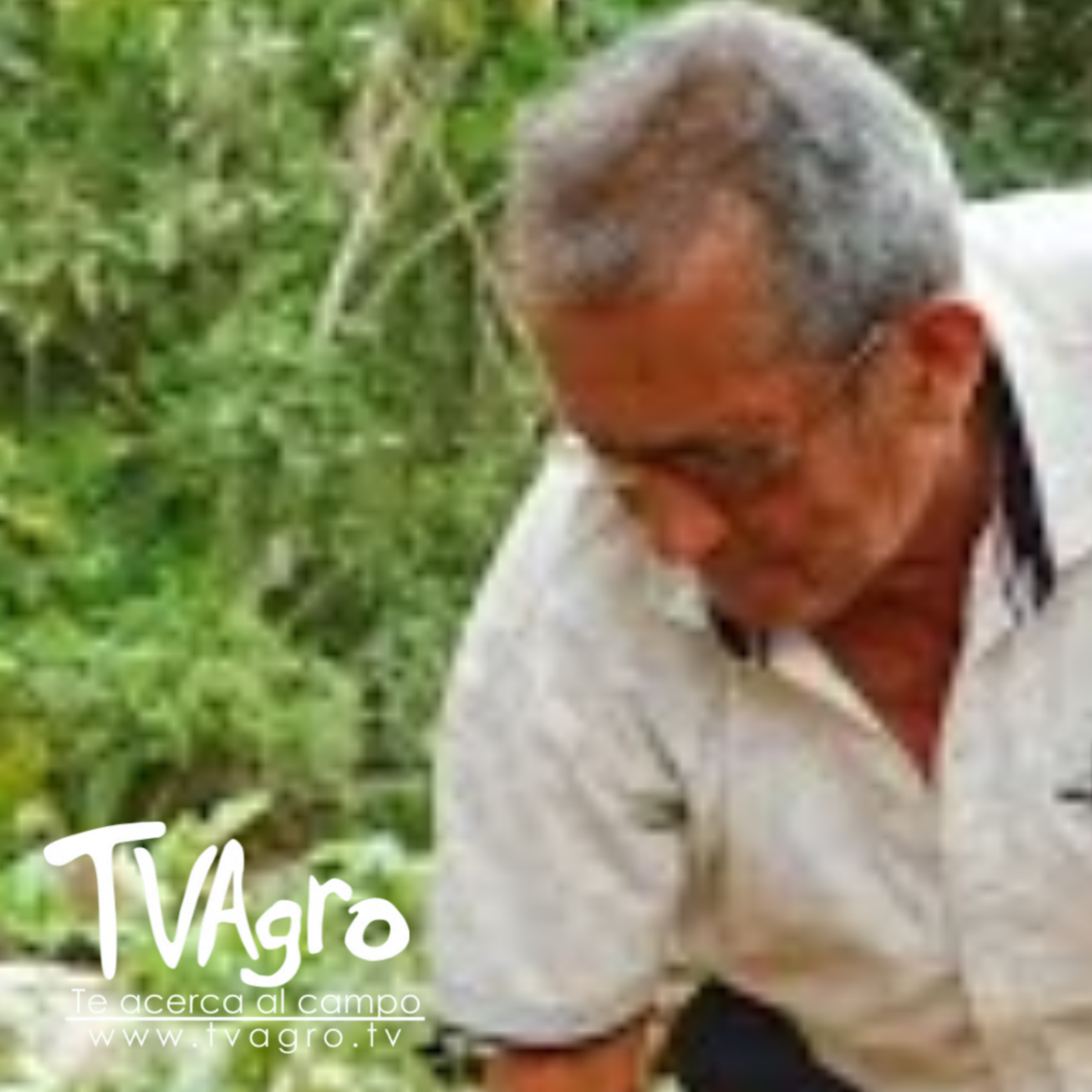 Día del campesino- TvAgro por Juan Gonzalo Angel Restrepo episode artwork