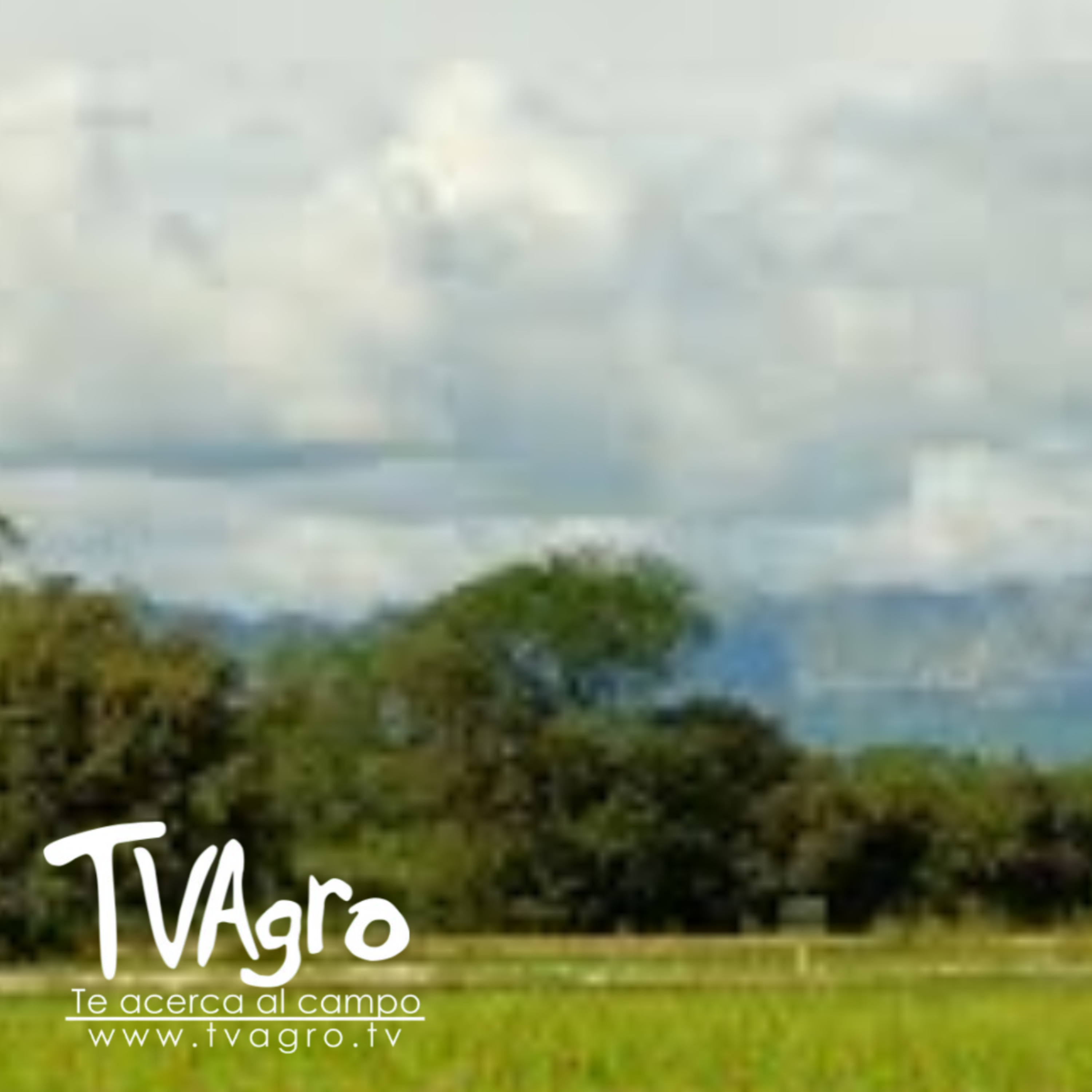 Portada de TV AGRO
