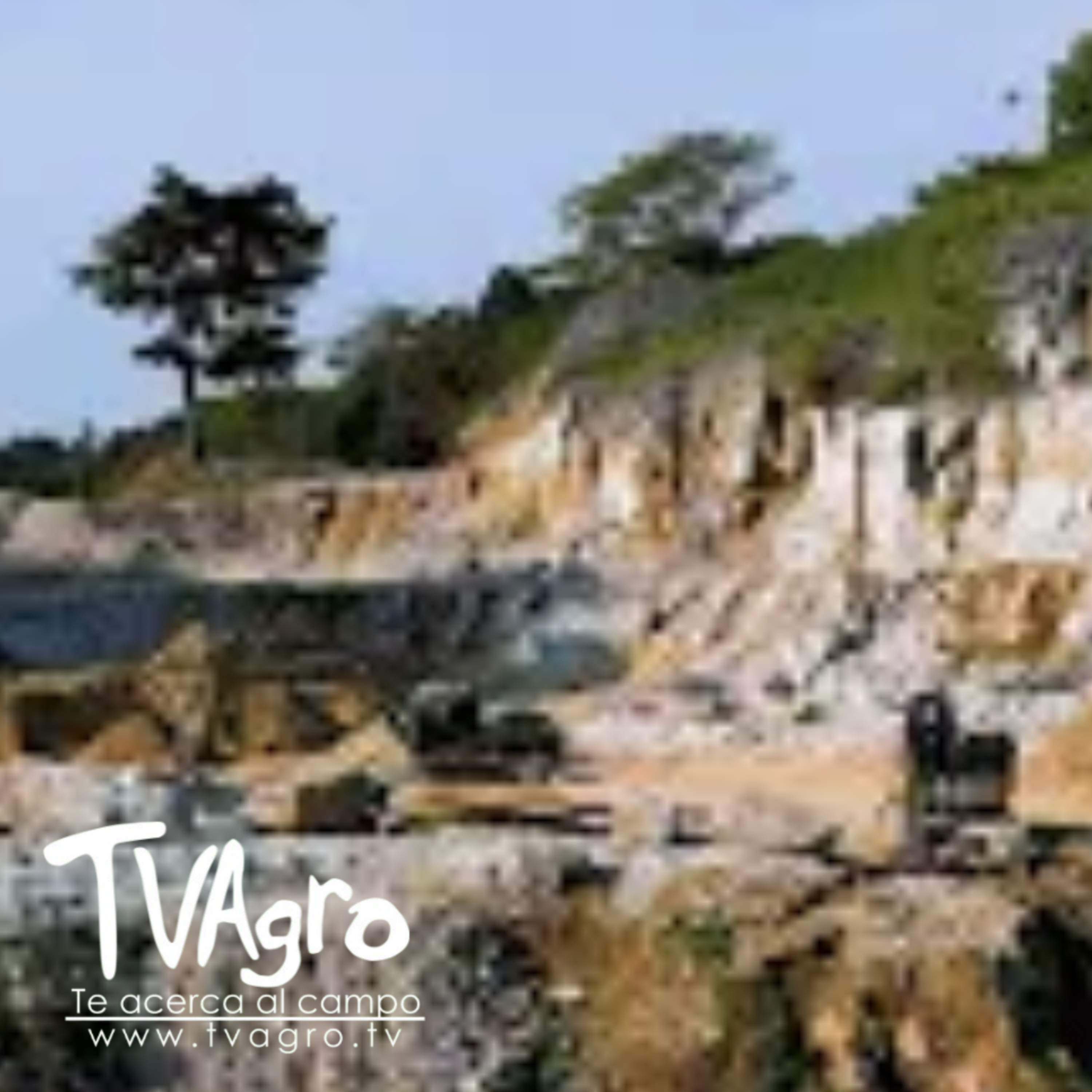 TV AGRO