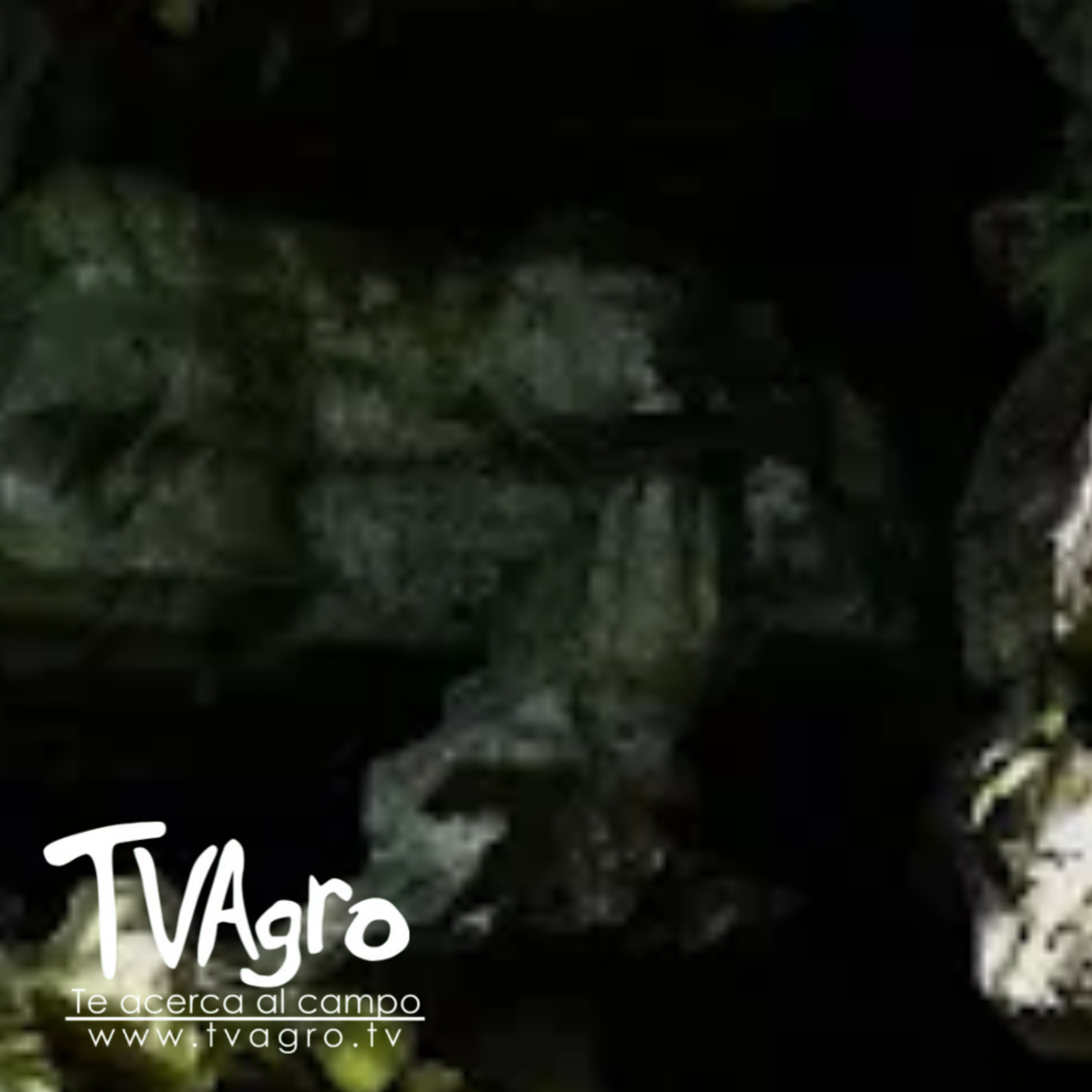 TV AGRO