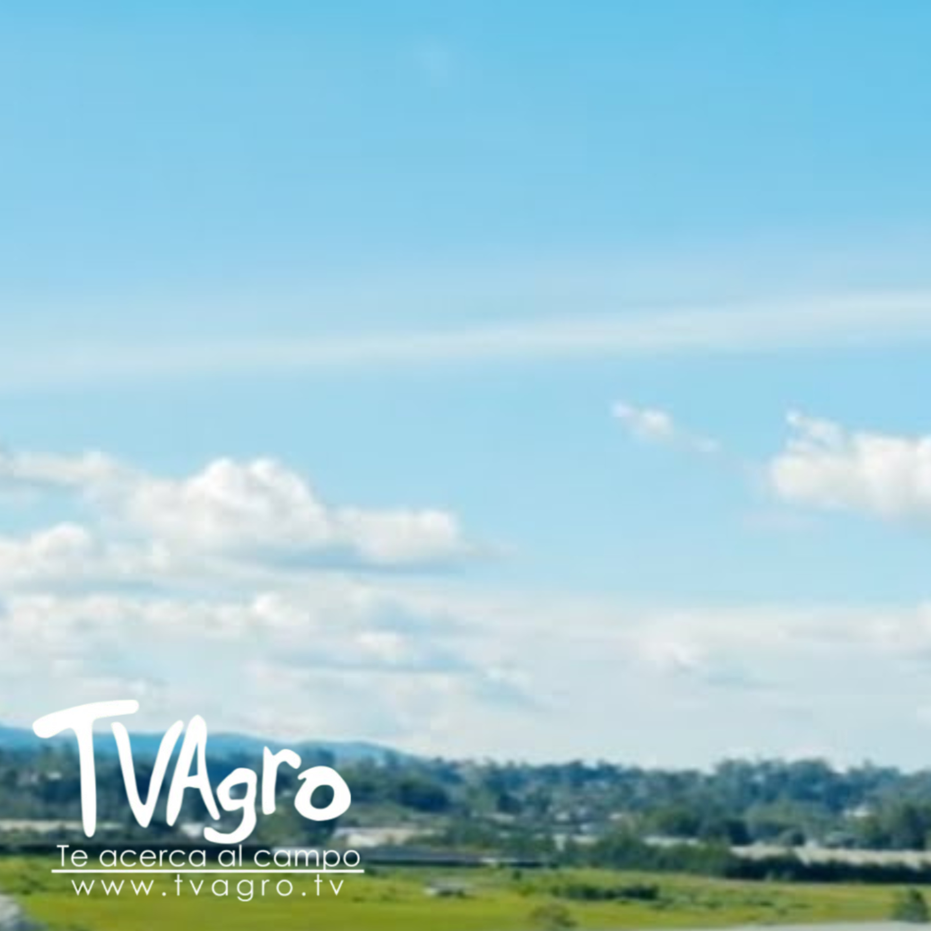  Tecnologías Avanzadas para Agroindustria Rural AGROSAVIA - TvAgro por Juan Gonzalo Angel  episode artwork