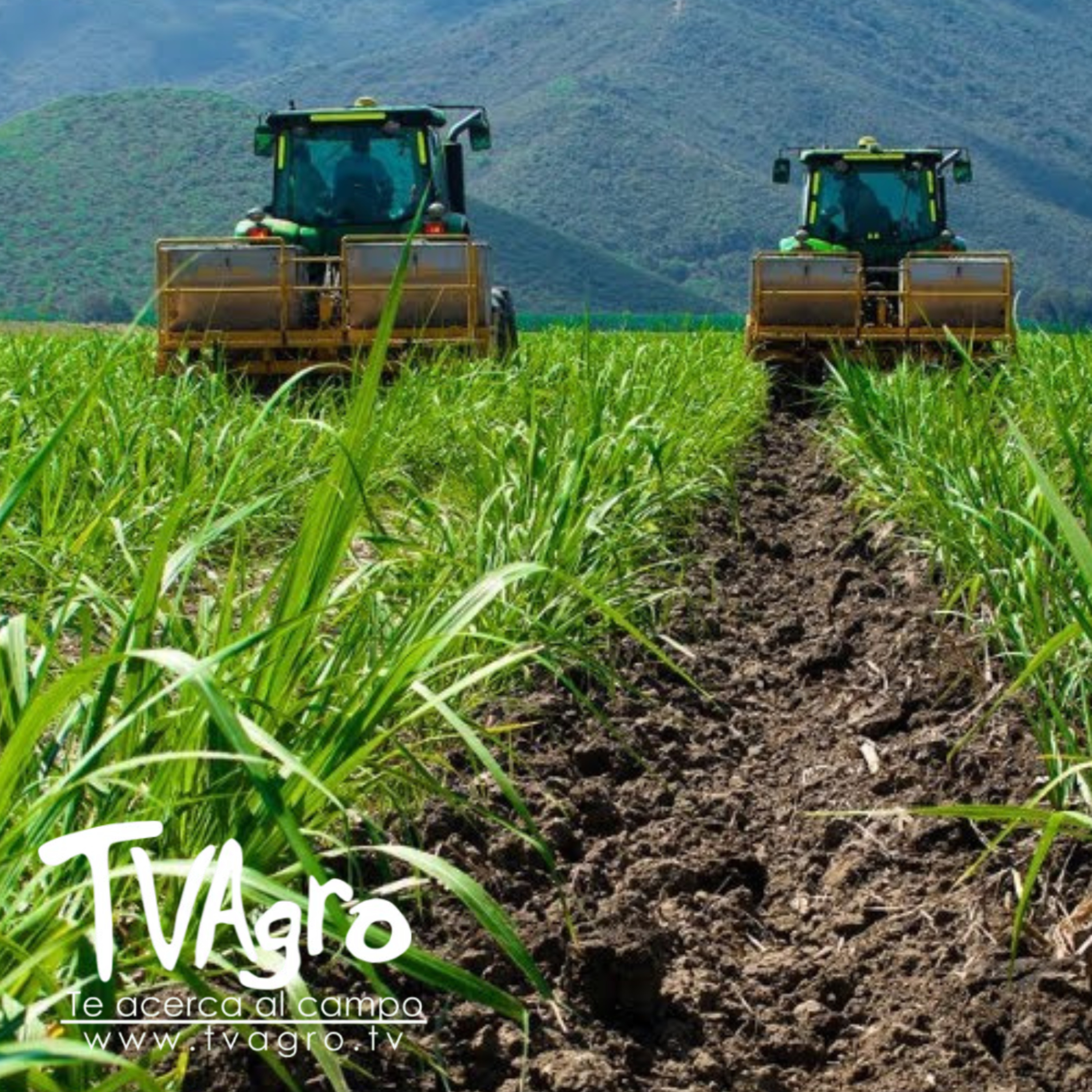 TV AGRO