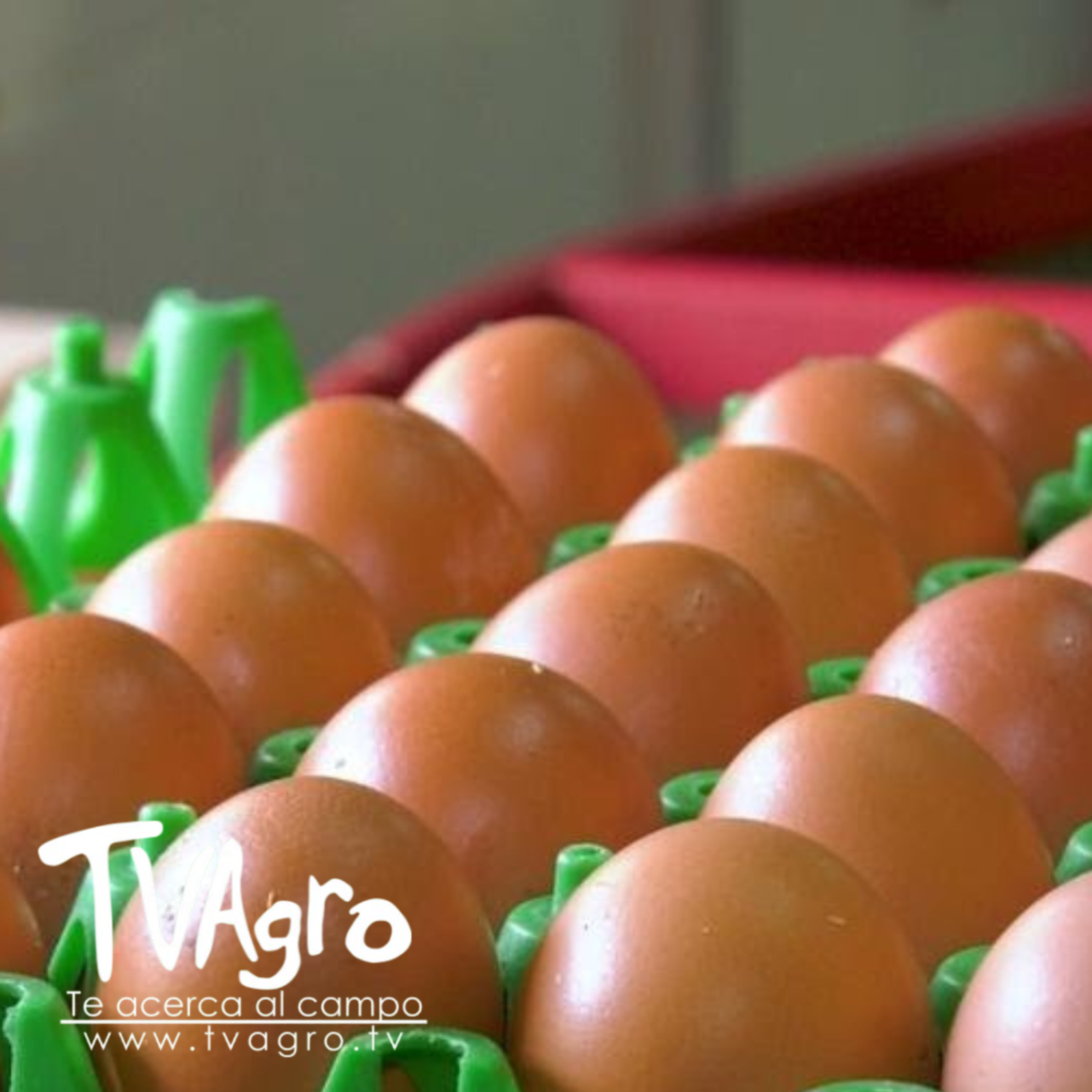 Portada de TV AGRO