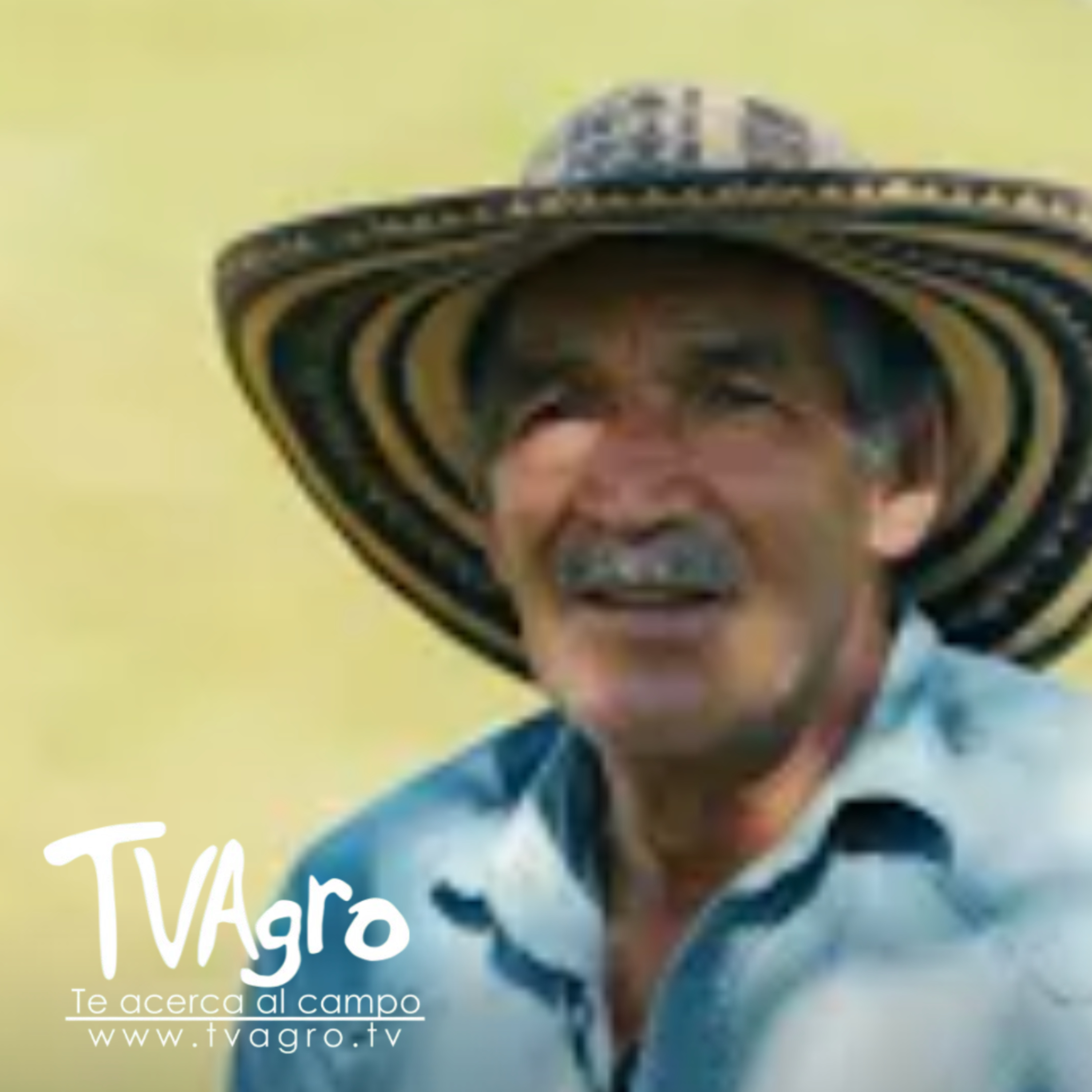 Huerto Familiar y trabajo artesanal - TvAgro por Juan Gonzalo Angel