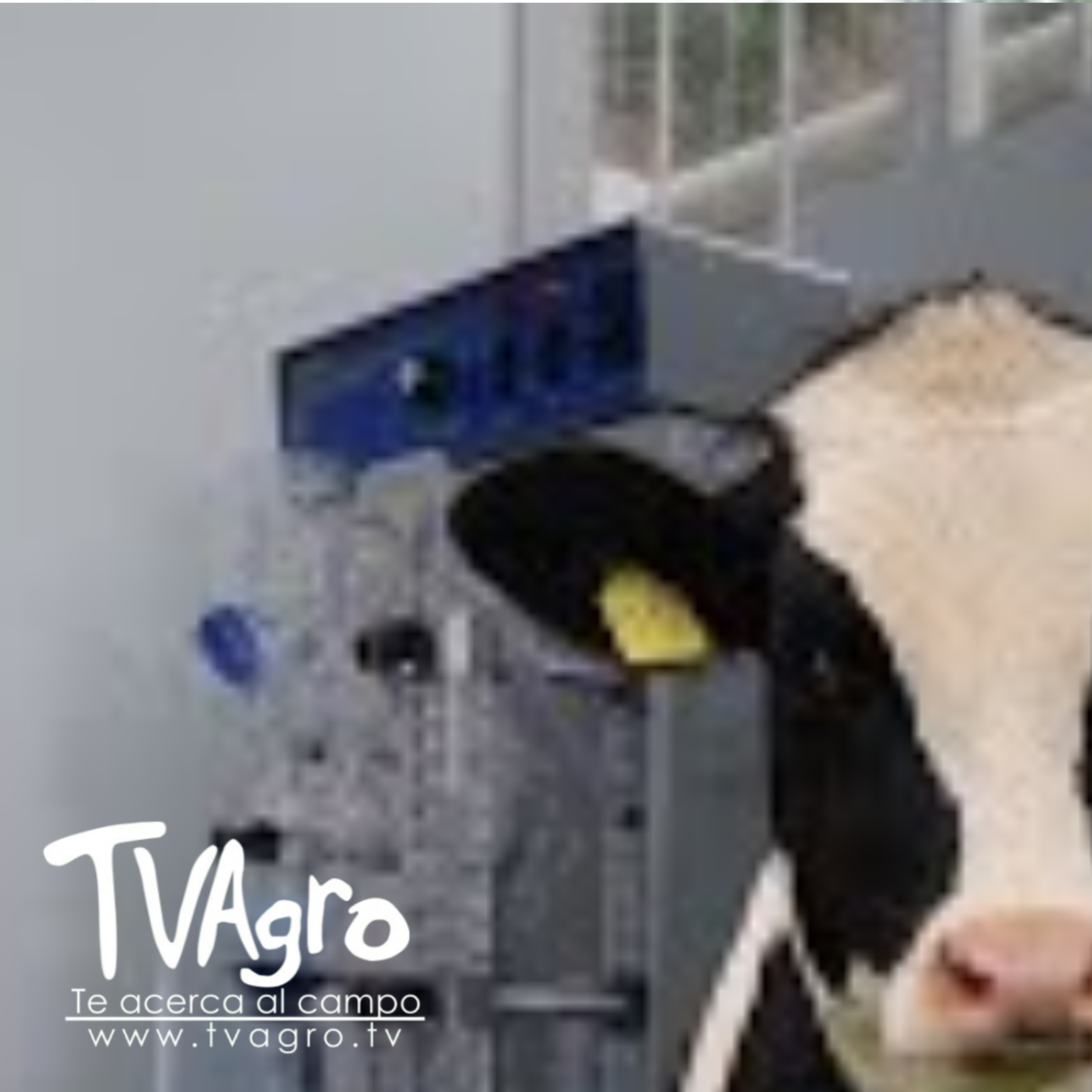 Nutrición animal del laboratorio a la pradera - TvAgro por Juan Gonzalo Angel